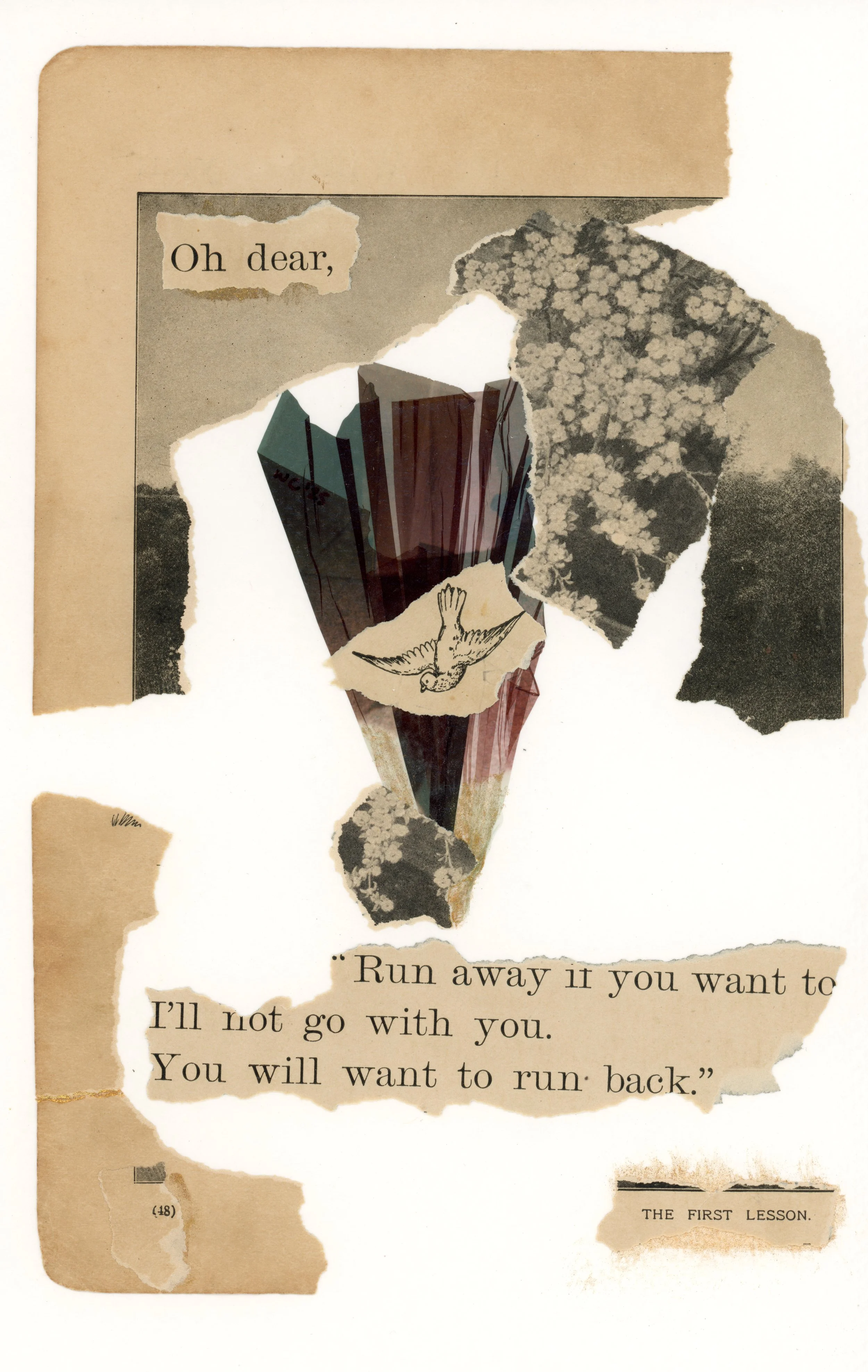 "The First Lesson." | Polaroid emulsion with antique illustration + text and acrylic accents, on watercolor paper 