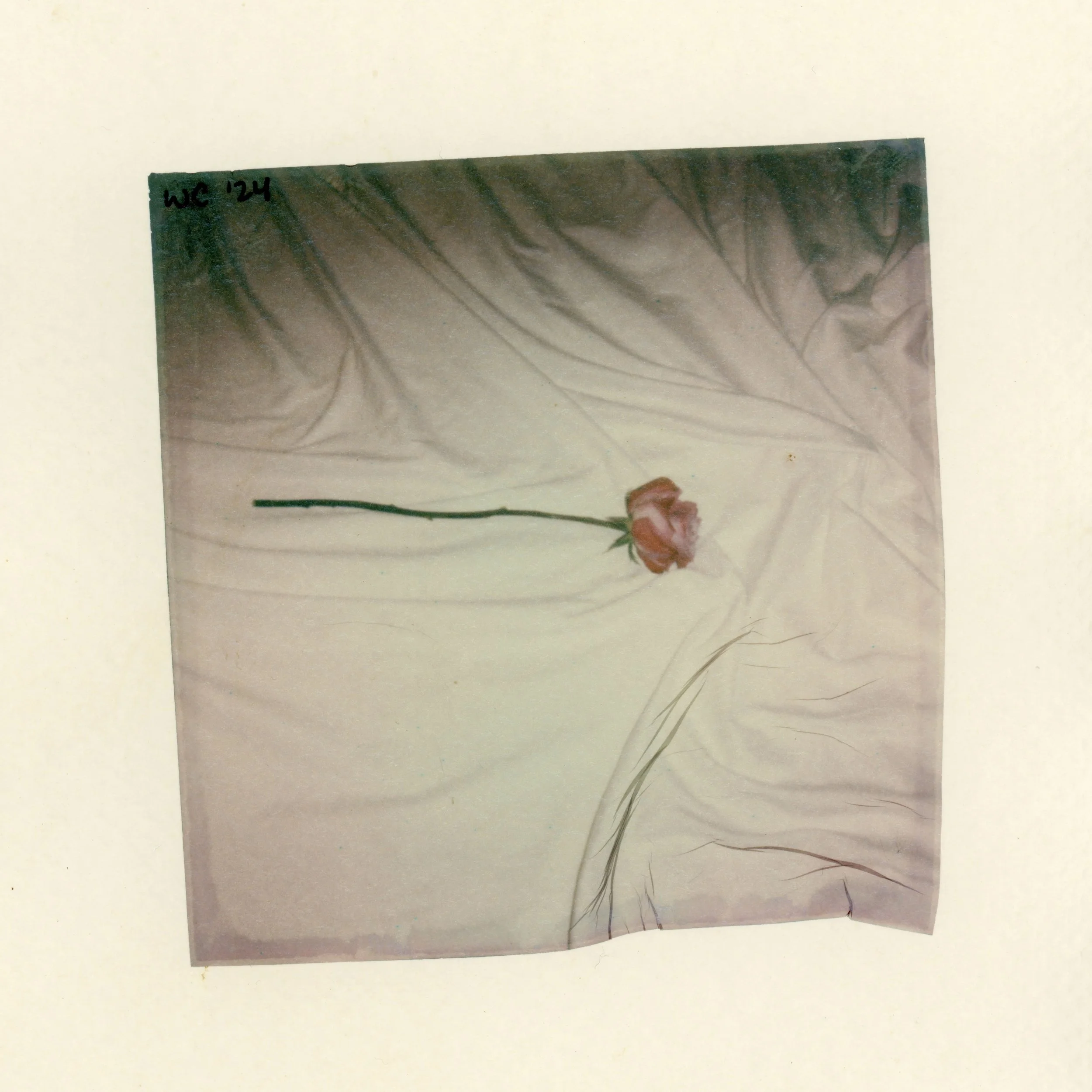 "No white picket fence is gonna save me now" |
Polaroid emulsion on tea-stained watercolor paper