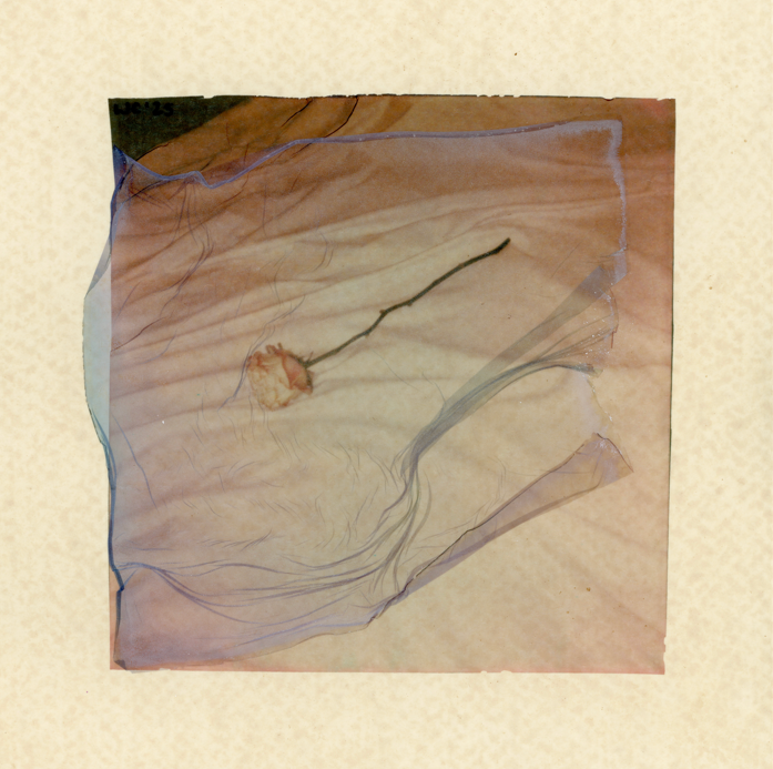 "Something so lonesome about you, something so wholesome about you" |
Polaroid double emulsion on tea-stained watercolor paper