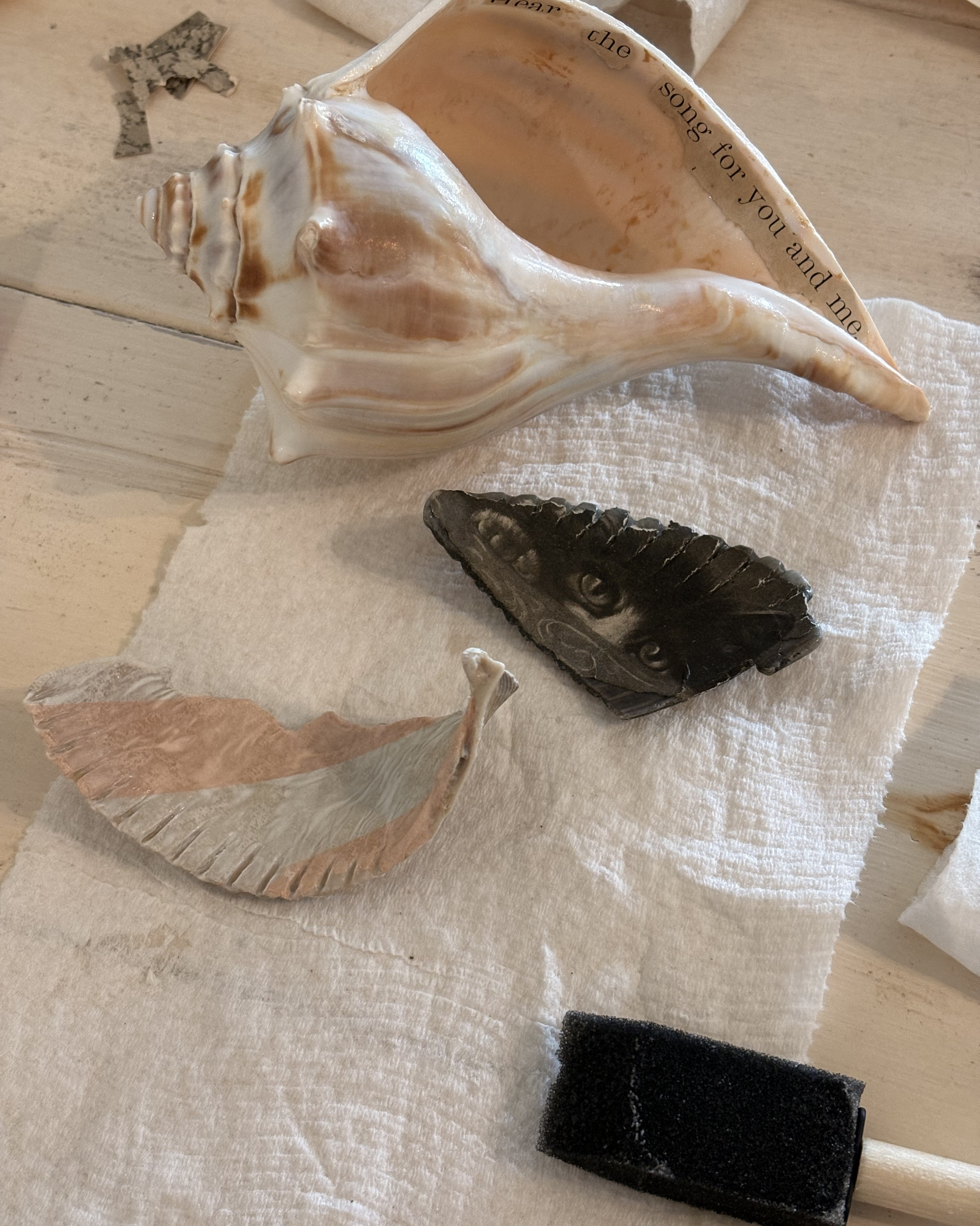 Close-up of various seashells arranged on a light wooden surface, including a large whelk shell, black shell fragment, and other small shell fragment with decoupage.