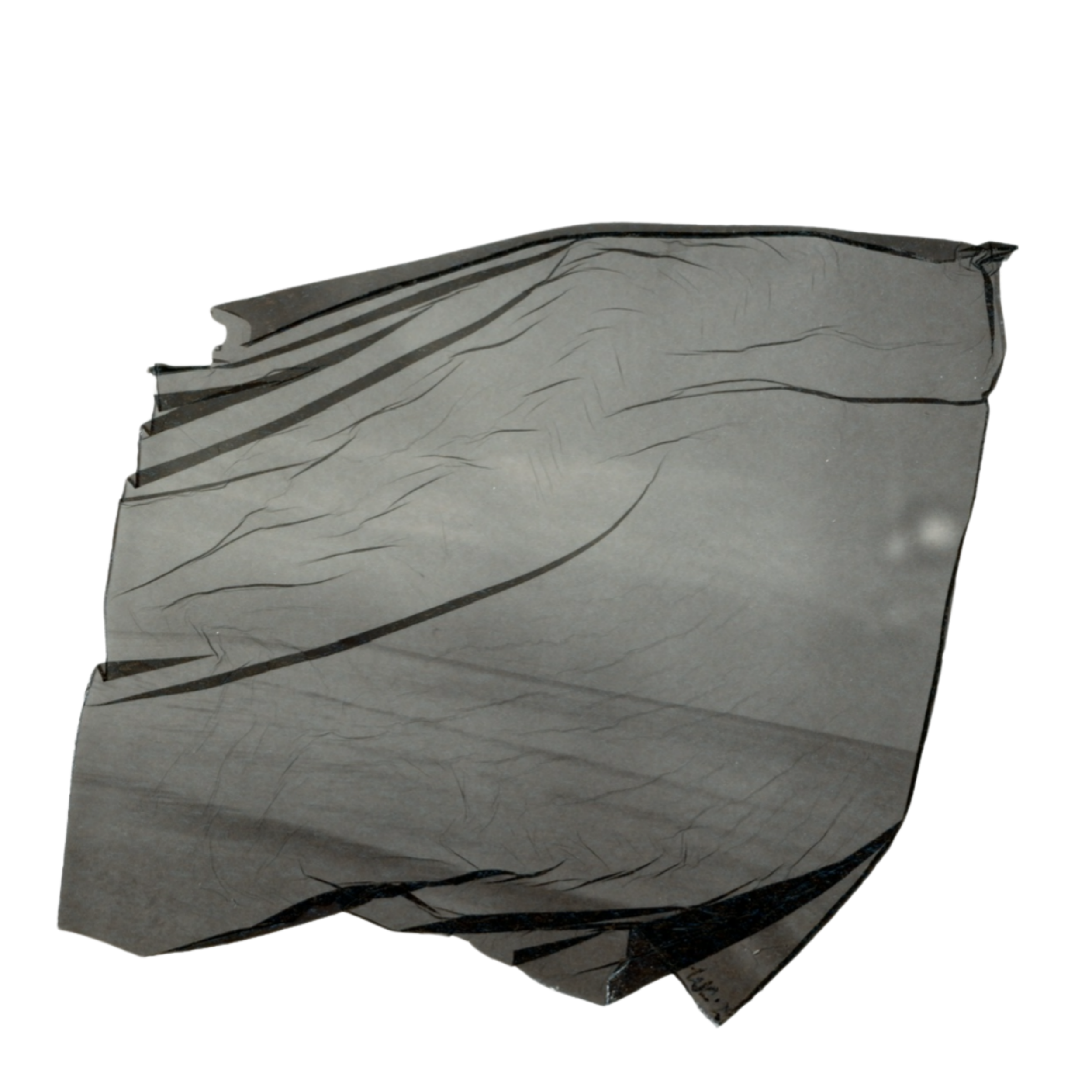 @whitleycally (Card (Square)).png