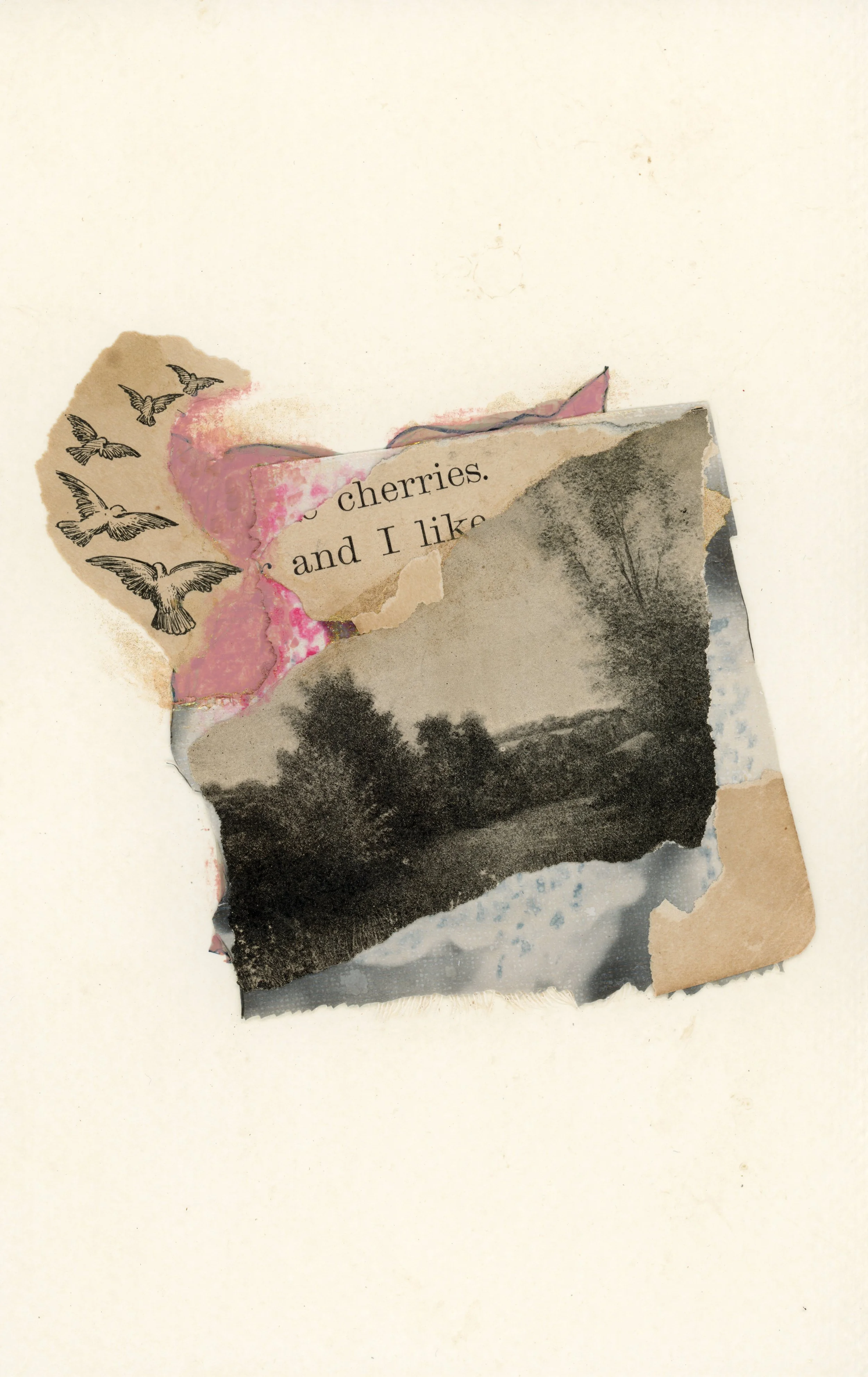 "cherries. and I like" | Polaroid emulsions with antique illustration + text, acrylic accents, and dyes, on tea-stained watercolor paper 