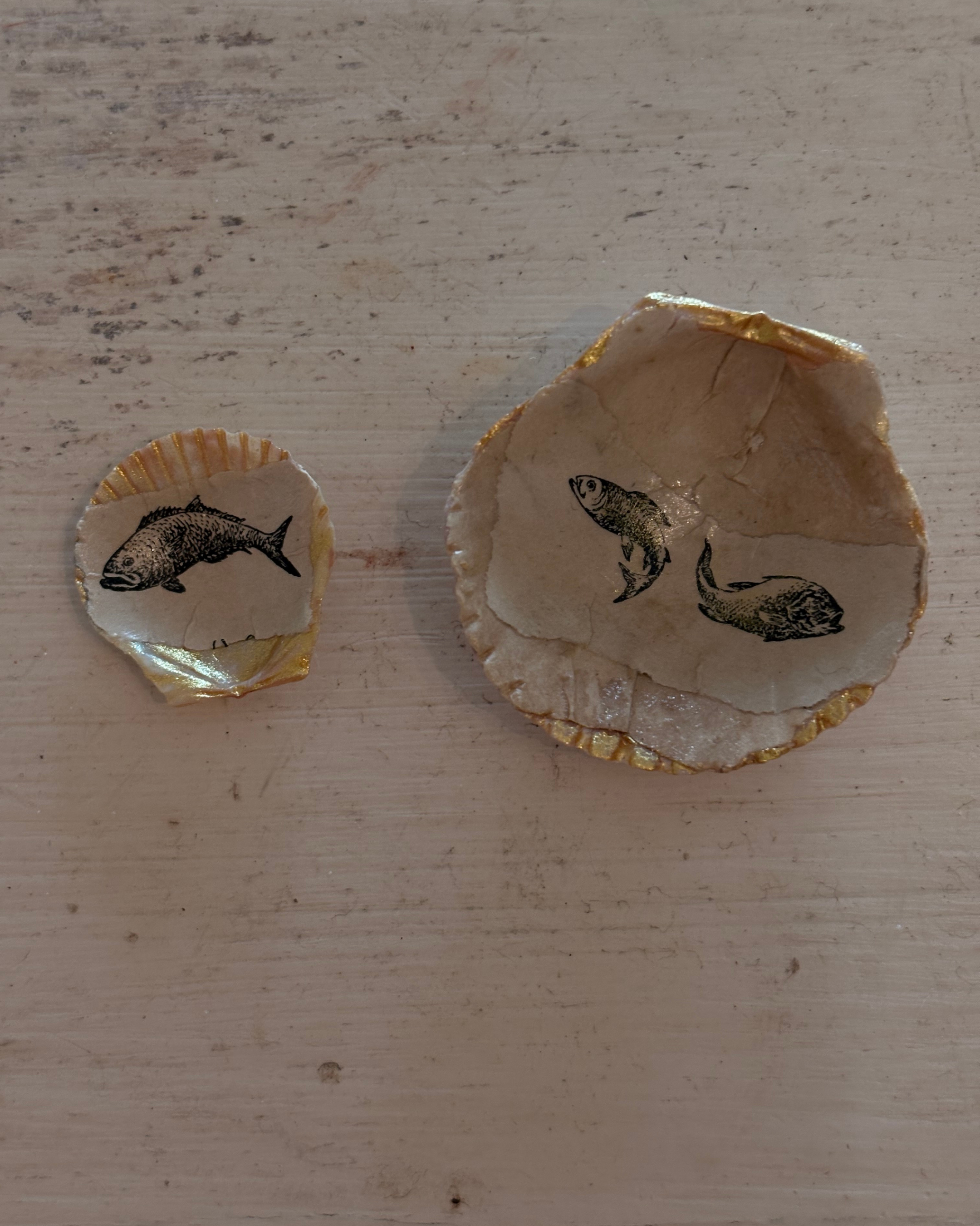 Two small shells with antique fish illustrations and gold detailing, placed on a wooden surface.