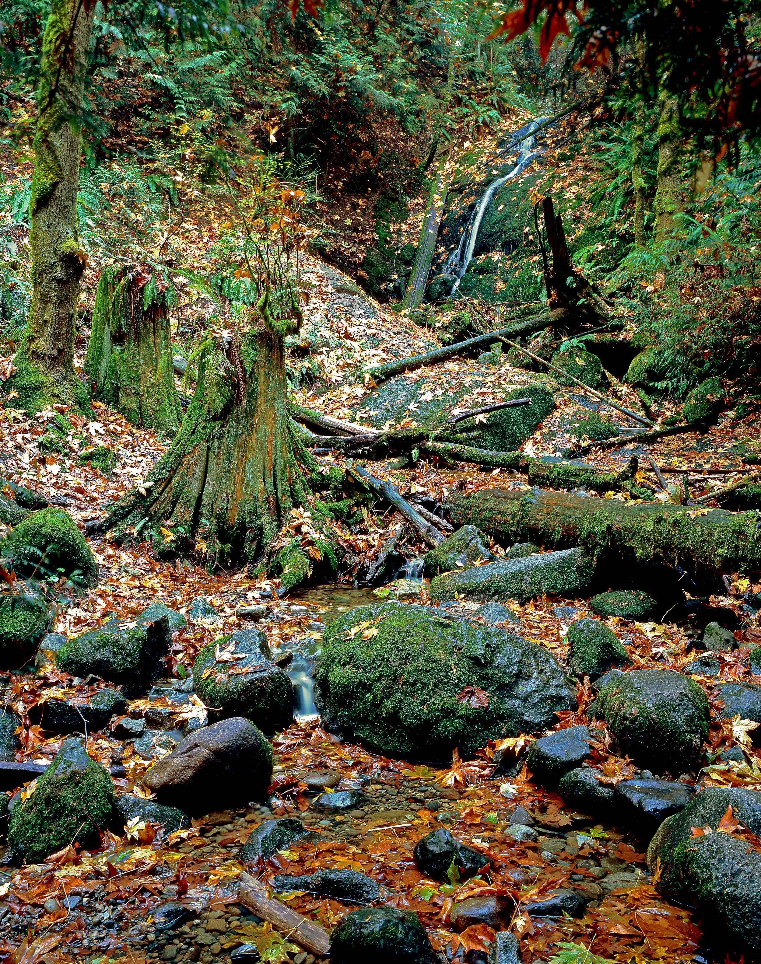 Coal Creek Falls4.jpg