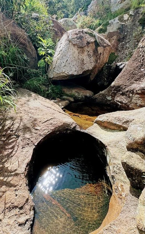 A rocky stream with large boulders and a small pool of water reflecting sunlight surrounded by green vegetation.