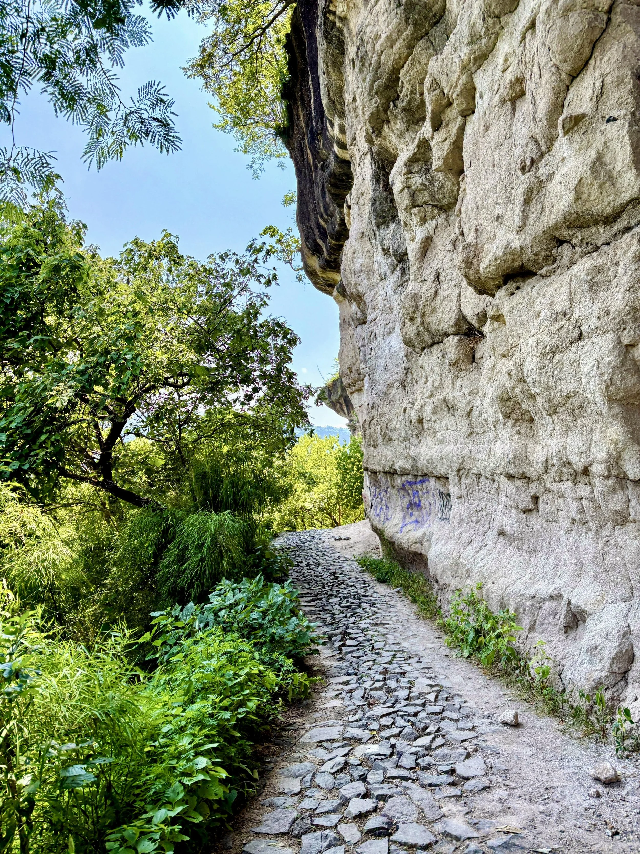 A narrow cobblestone trail beside a large rocky hill, surrounded by lush green trees and foliage on a sunny day.