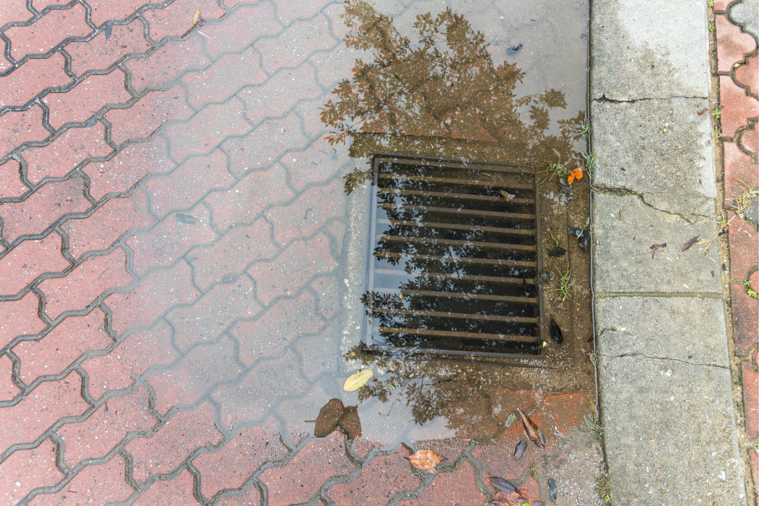 Common Causes of Clogged Drains in Residential Properties