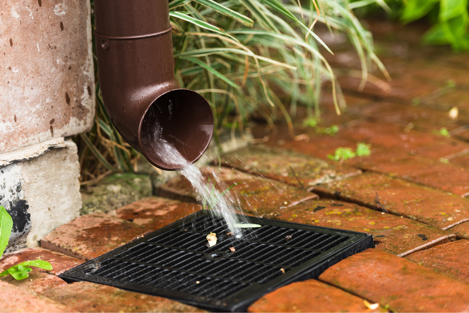 The Hidden Costs of Ignoring Minor Drain Issues