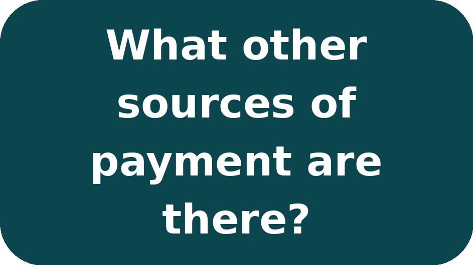 Text on a dark teal background that reads, "What other sources of payment are there?"