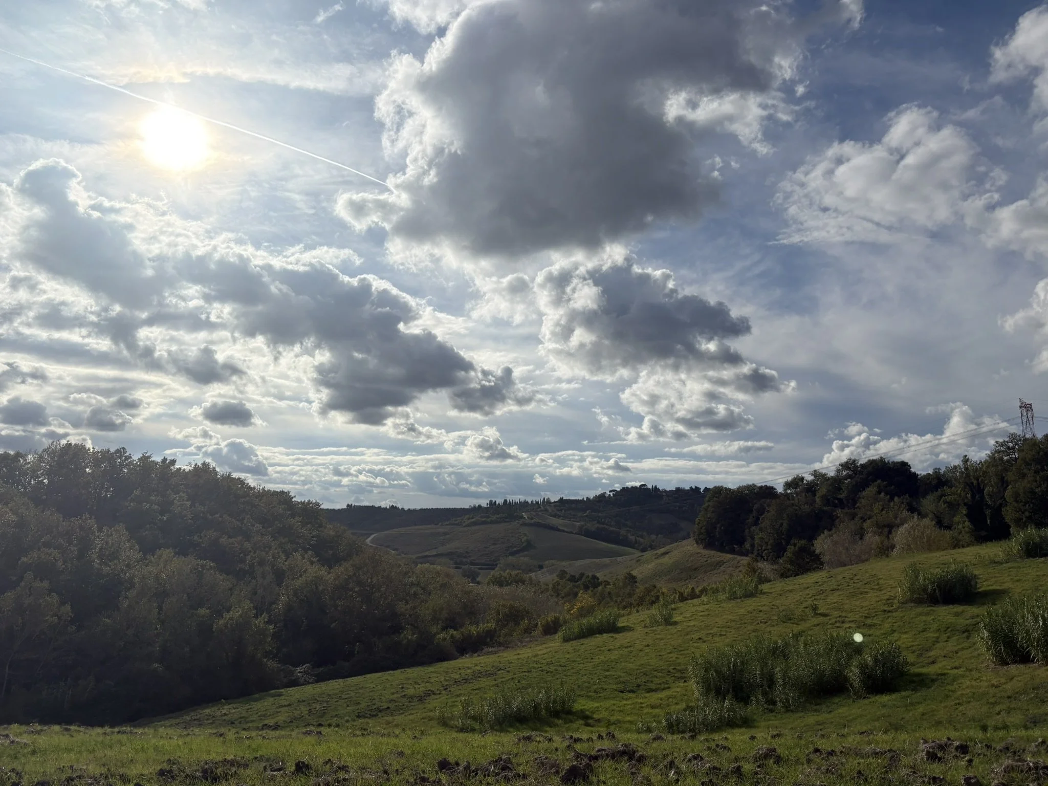 Turtles, Tuscany and My New Prayer  