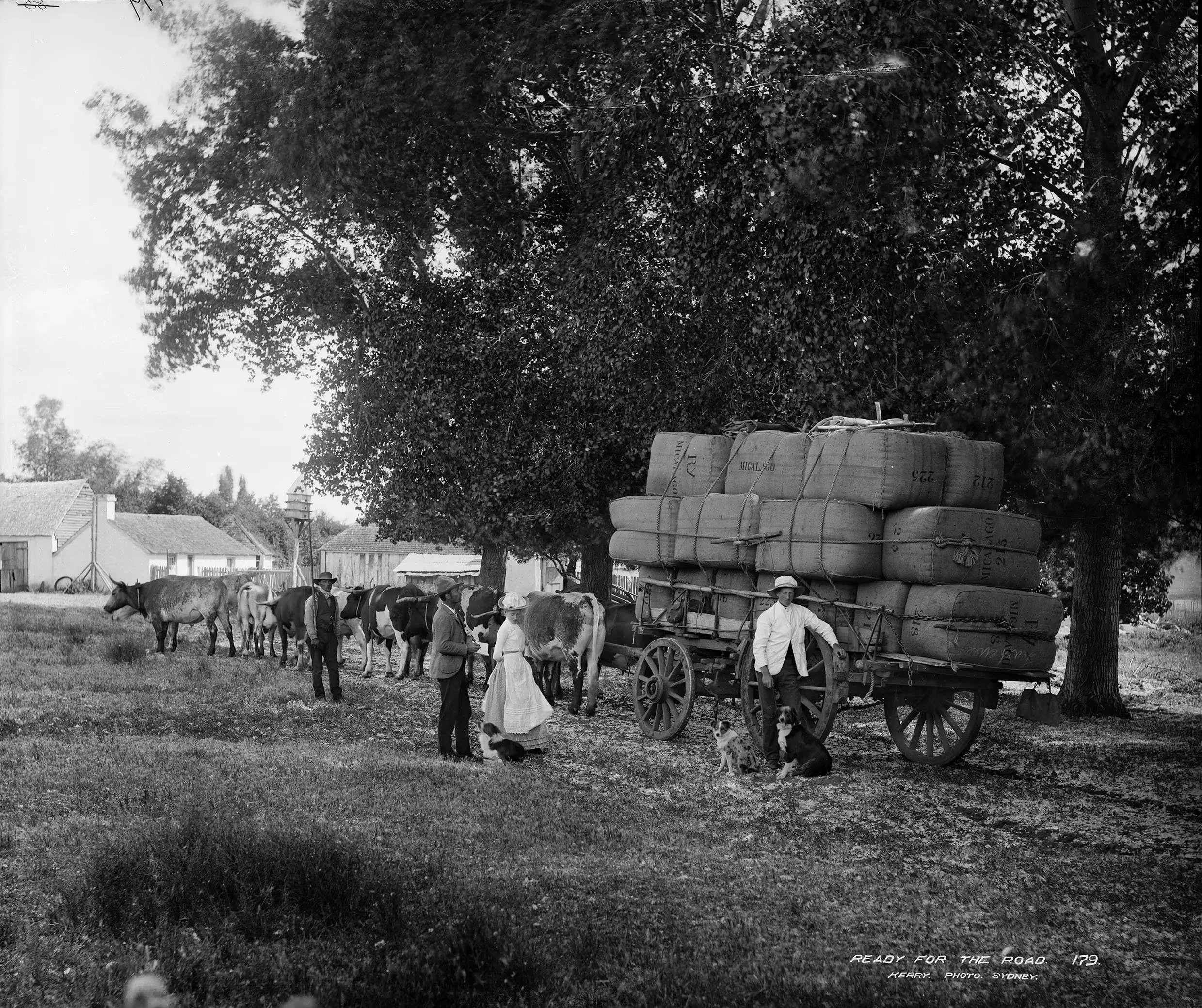 A black and white historical photograph of a rural scene featuring a horse-drawn wagon carrying large wrapped bales or sacks, several men and women in period clothing standing around, some holding the horses, in front of trees and a small town with houses and a tower in the background.