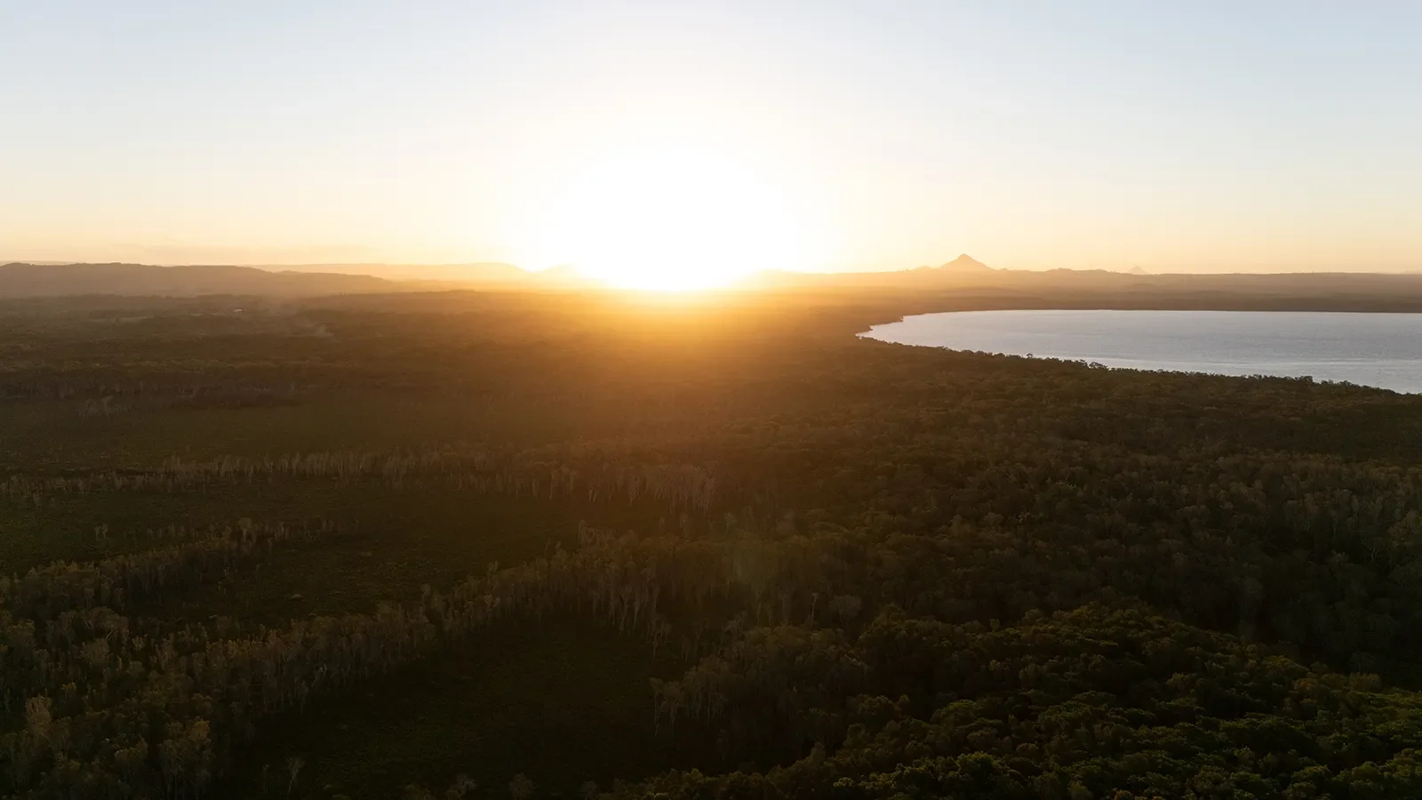 12 Lancewood Ave Peregian Springs-165 copy.webp