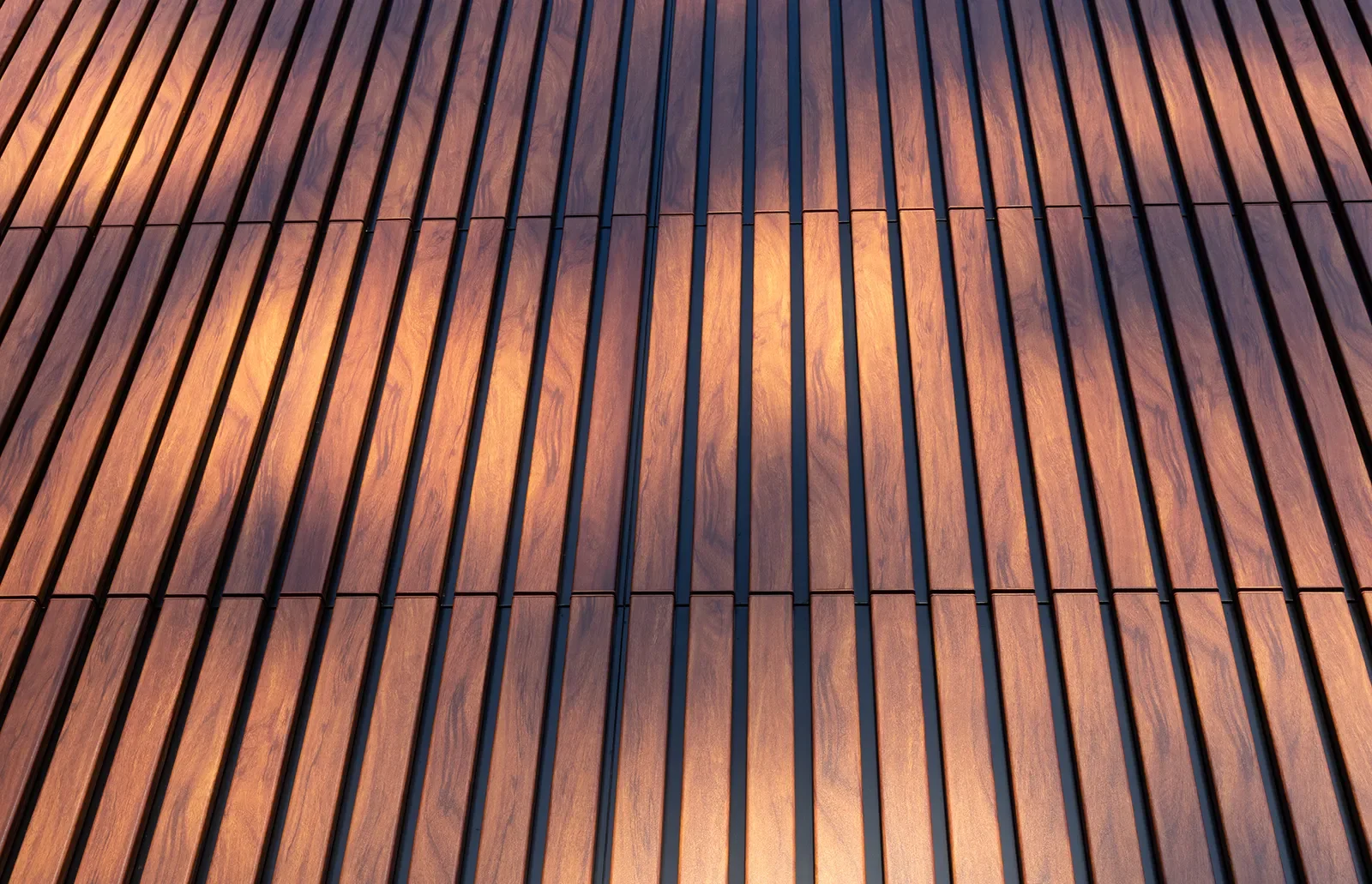 12 Lancewood Ave Peregian Springs-29 copy.webp