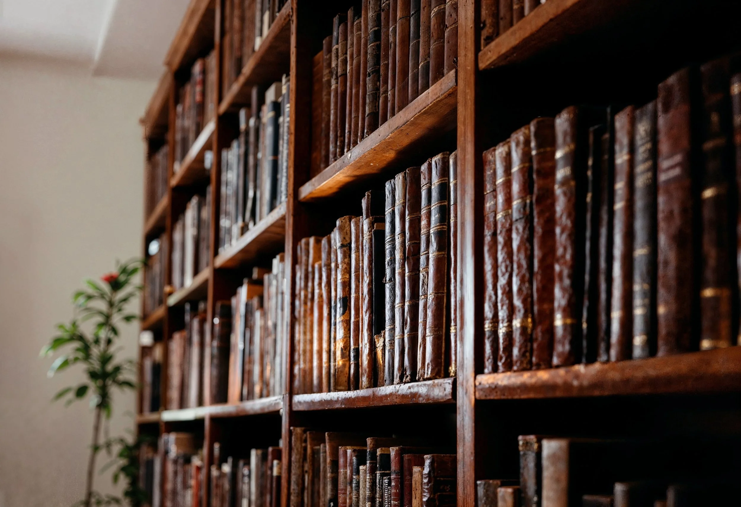 How to Sue USCIS for Delays: Complete Mandamus Guide