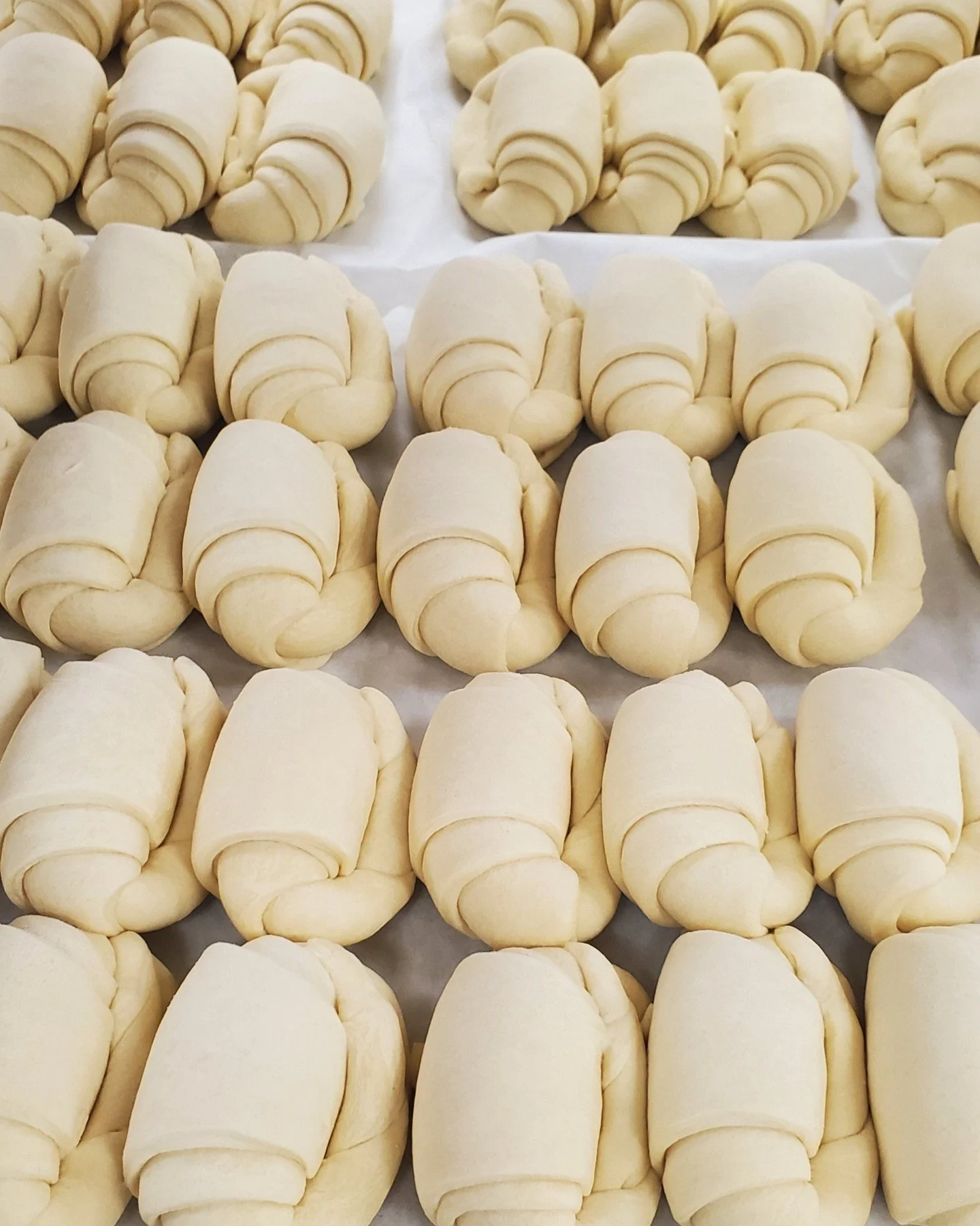 Getting ready for the Holidays. Hand rolled croissants getting ready for the freezer.