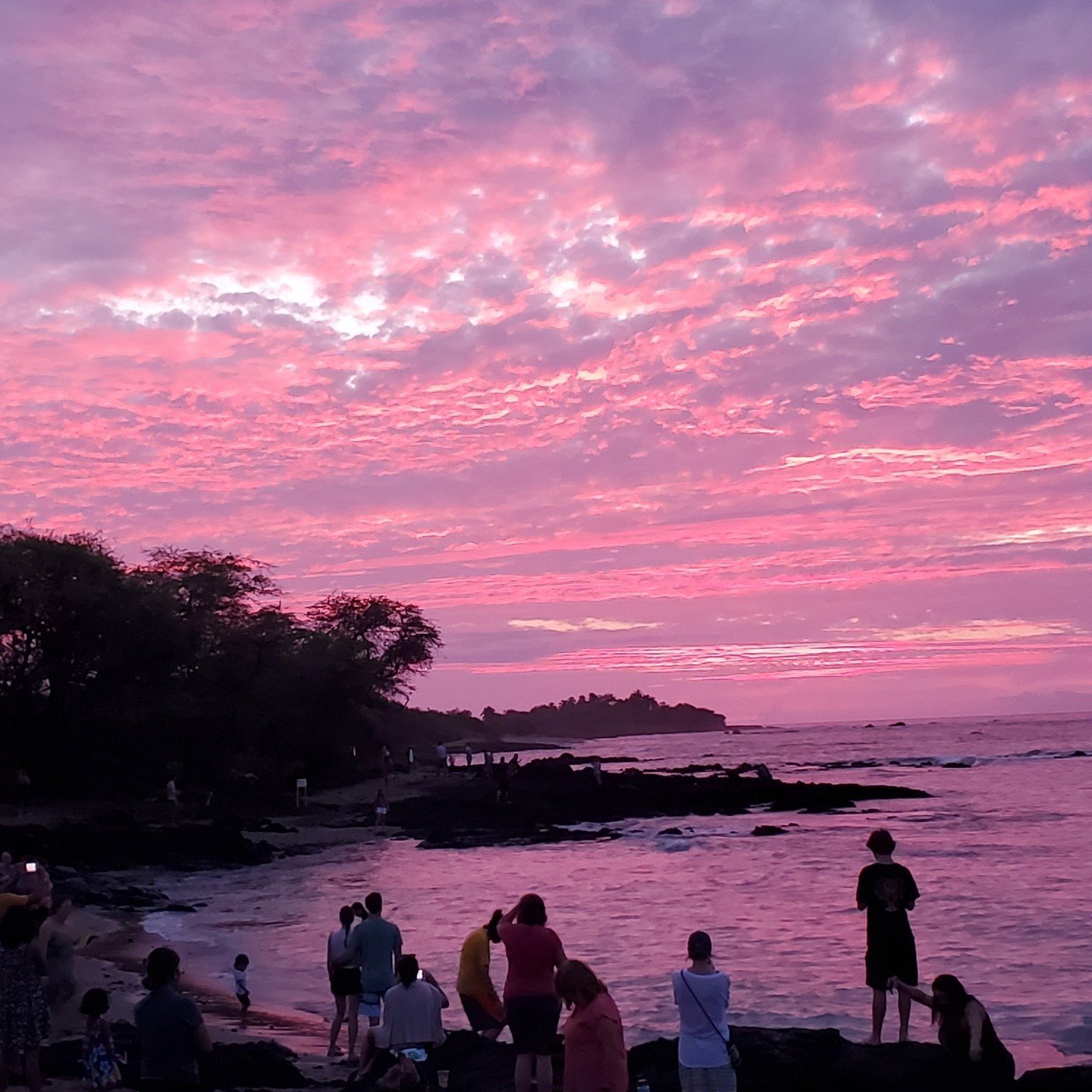 Another beautiful night in Hawaii where you can pick up our croissants at Whole Foods and Foodland. Even a more perfect night.