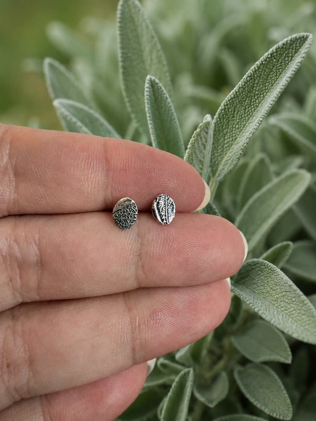 Garden Sage Studs