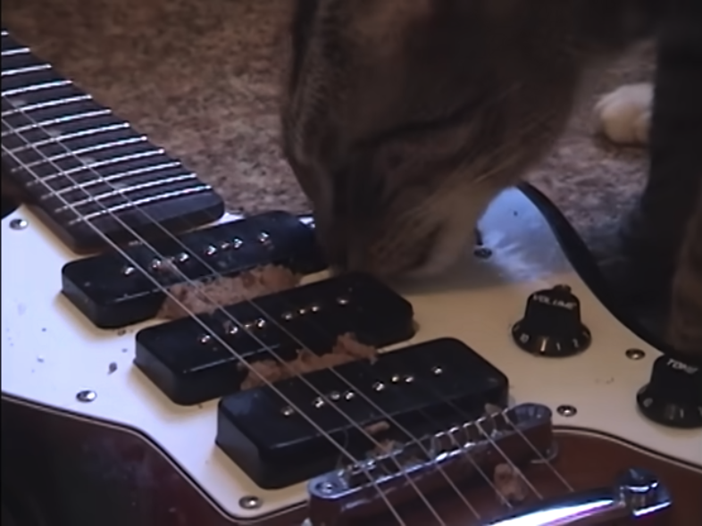 everything is peaceful love