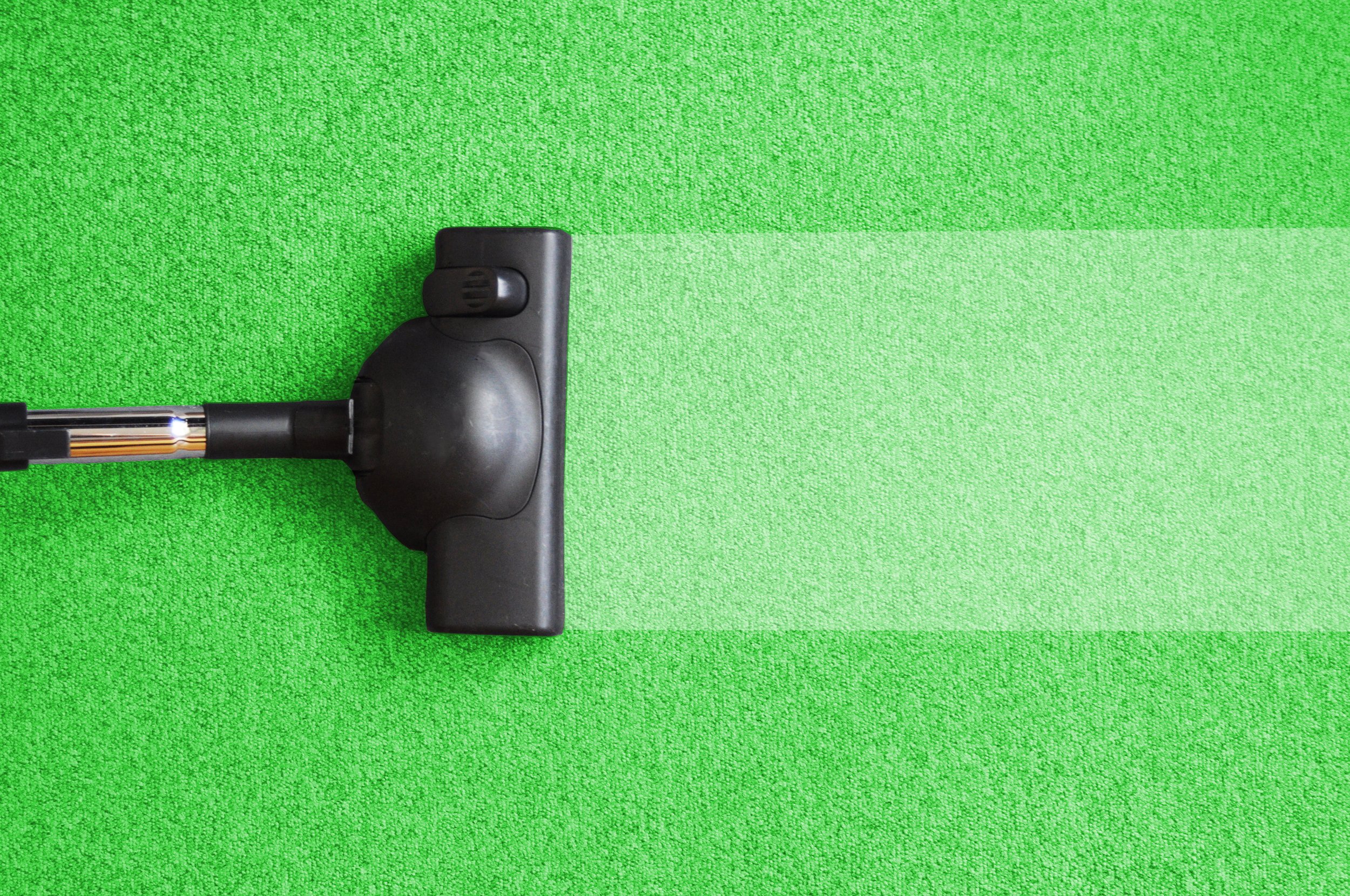 Vacuum cleaner head on a green carpet.