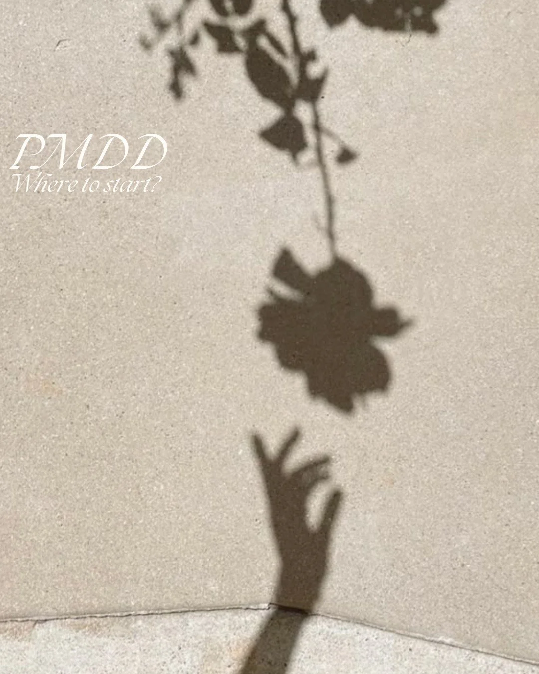 ✨Supporting PMDD &ndash; It&rsquo;s a Whole-Body, Team-Based Approach✨

PMDD is complex&mdash;and support should be just as layered and compassionate as the symptoms are.

It&rsquo;s not about one fix. It&rsquo;s about exploring the whole picture of 
