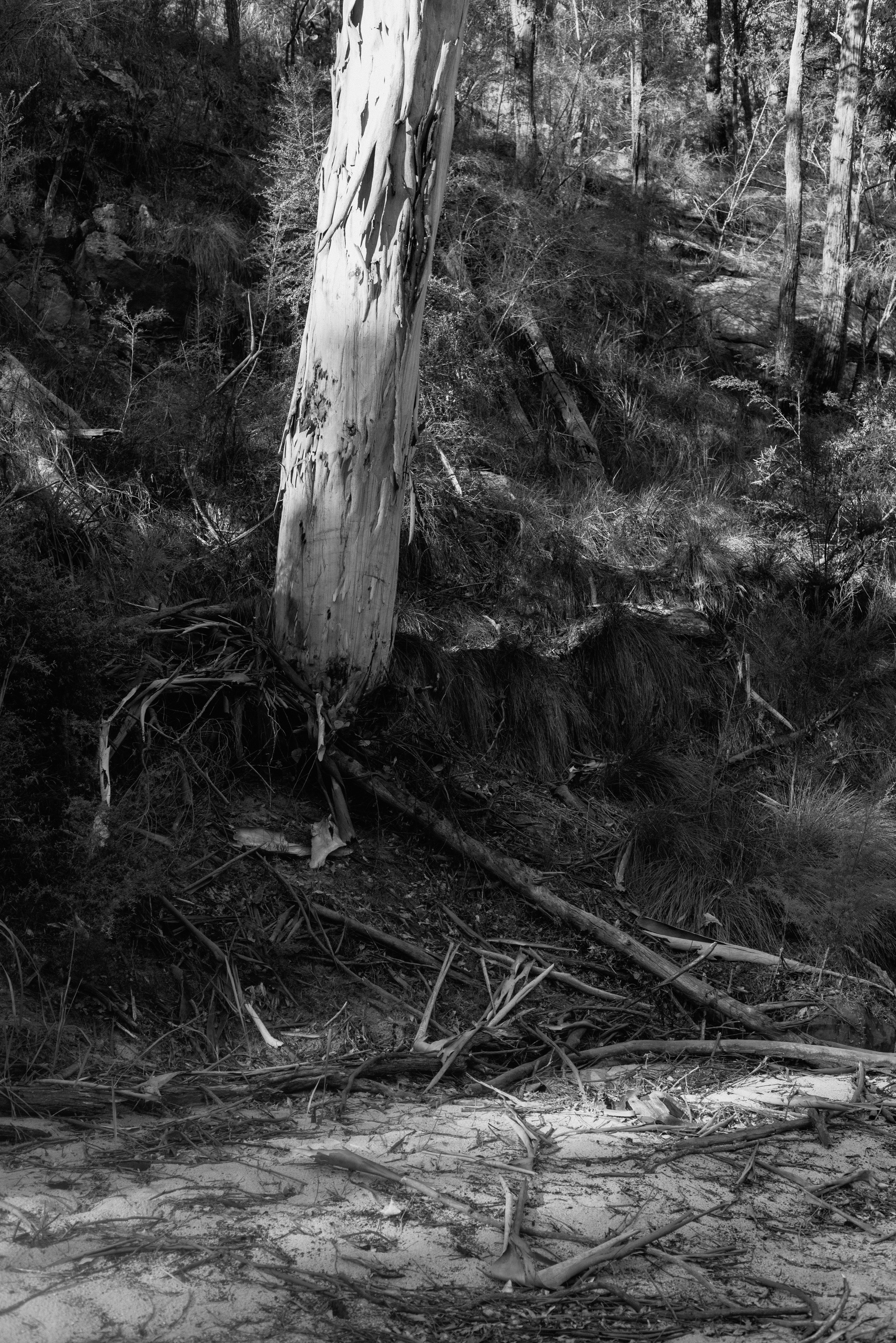 006 MacDonald River
