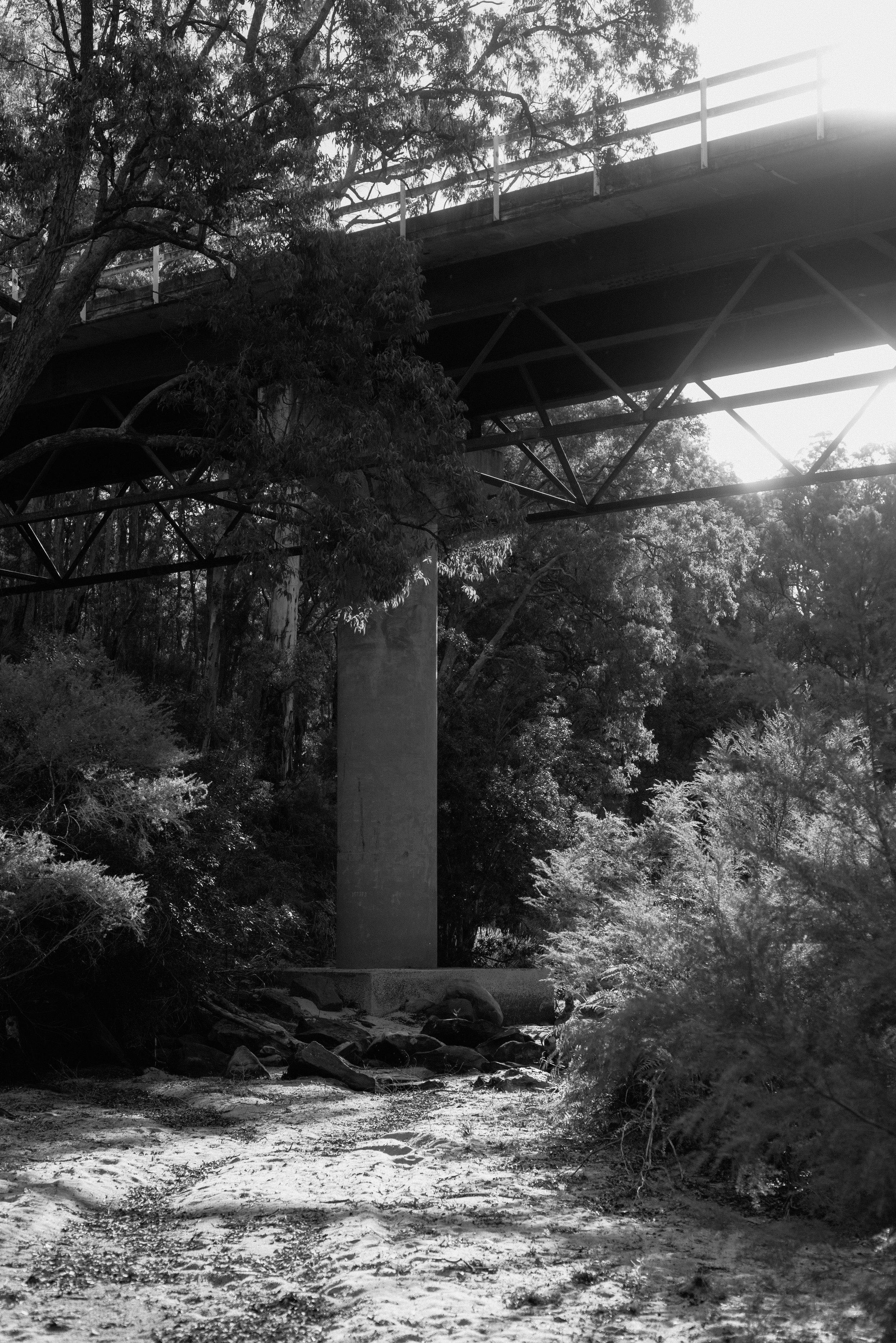 2026_MacDonald-River-Walk-3.jpg