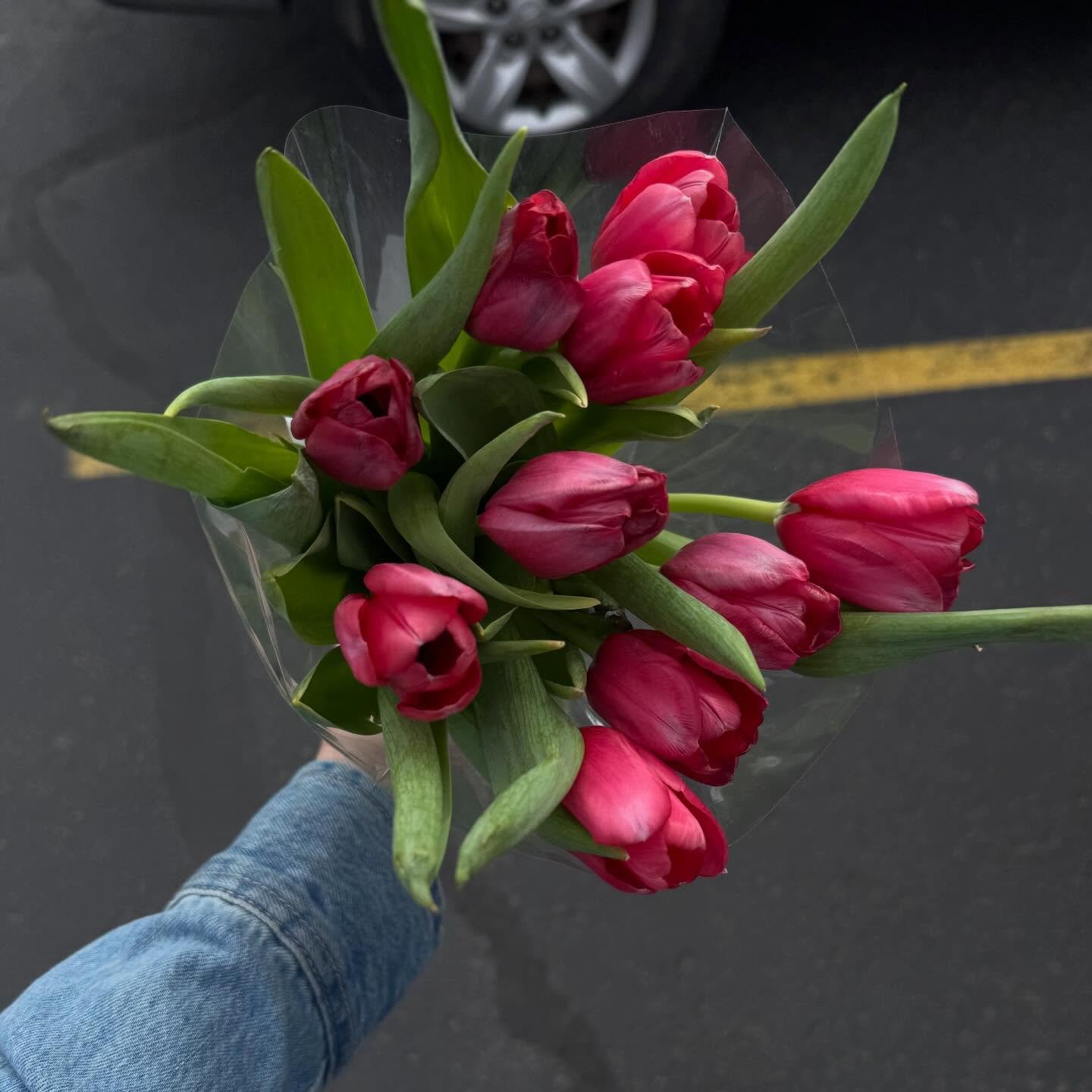 Set the tone for your week!! 🤍

1. Target tulips for spring!
2. Our 7:00am walk before I&rsquo;m full awake
3. The best spent time of my day, even if I&rsquo;m fighting to get there 
4. Fries with high-school students every Monday
5. Baby nephew toe