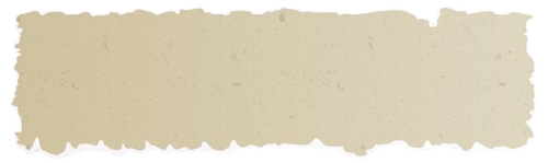 A torn piece of light beige paper with rough edges.