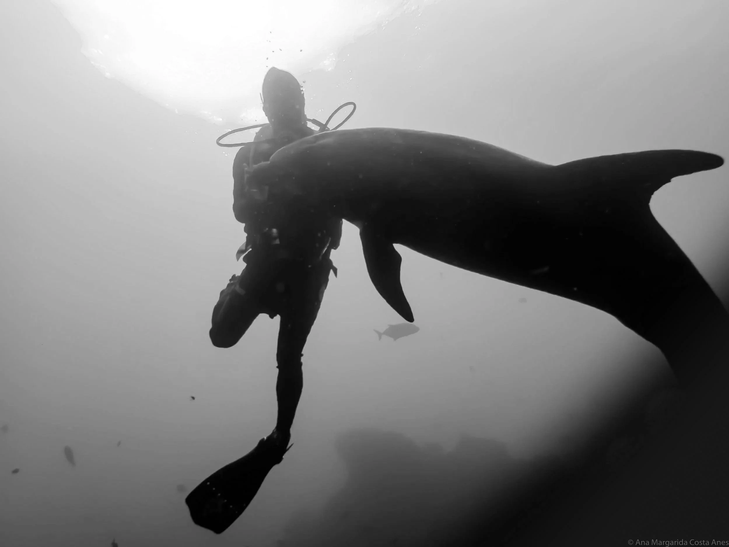 Foundational Water Skills Clinic