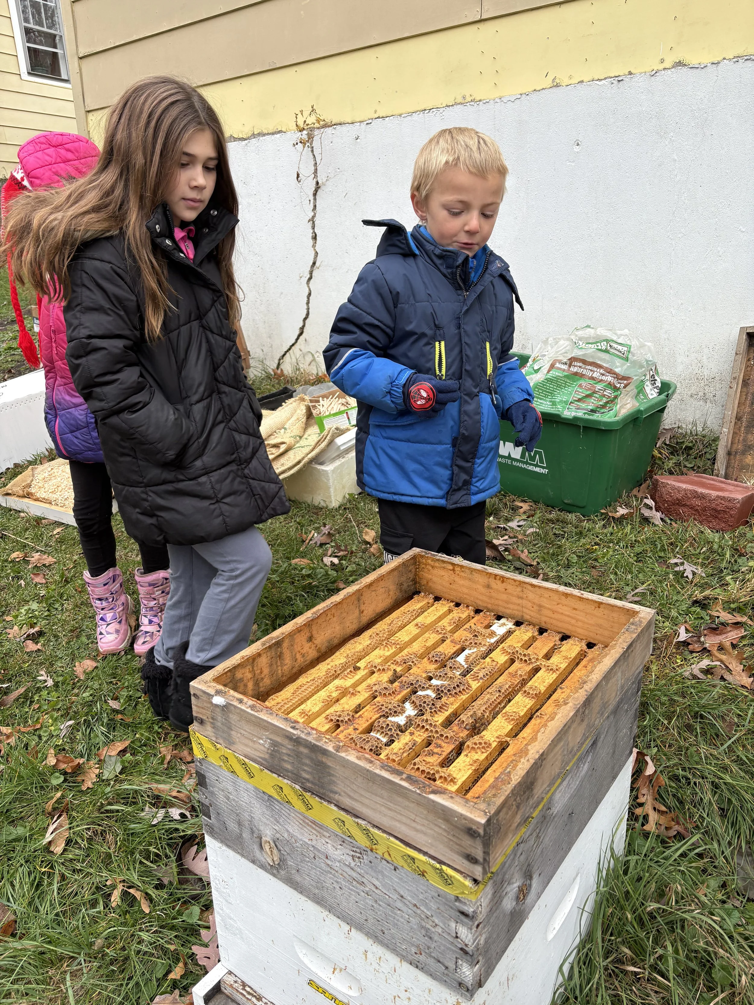 Two children inspecting a beehive in an outdoor setting with fallen leaves and a building wall in the background.