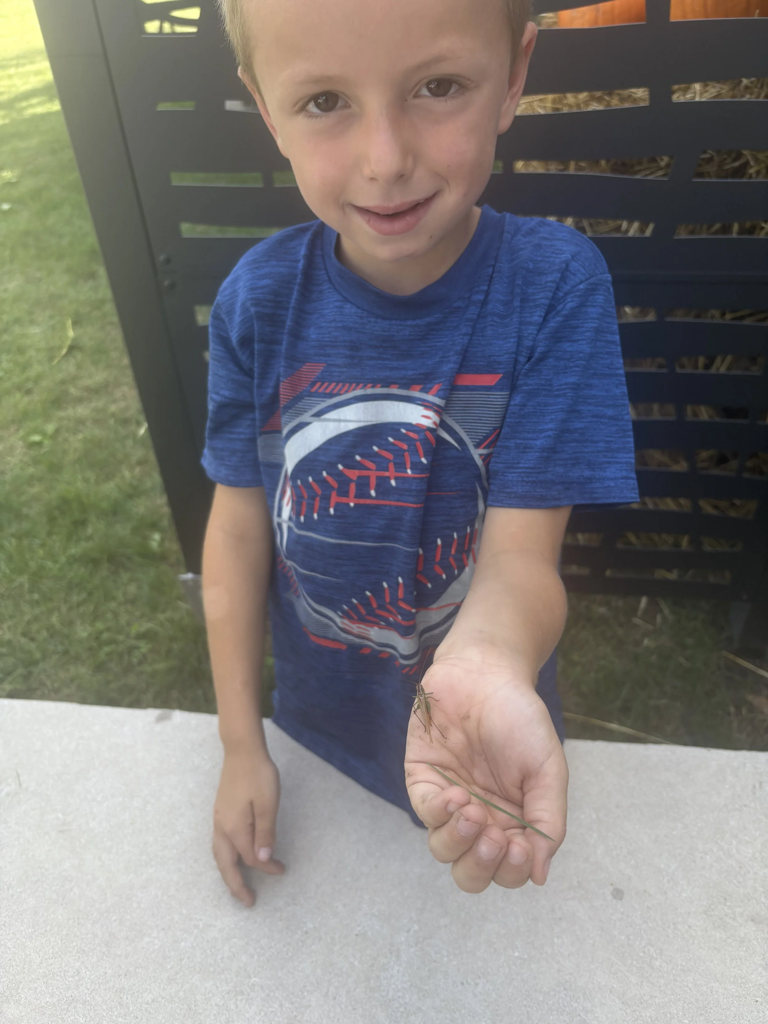 A young boy with short blonde hair and a blue t-shirt is holding a small stick insect in his hand and looking at the camera with a slight smile. He is standing outdoors near a black fence and a grassy area.