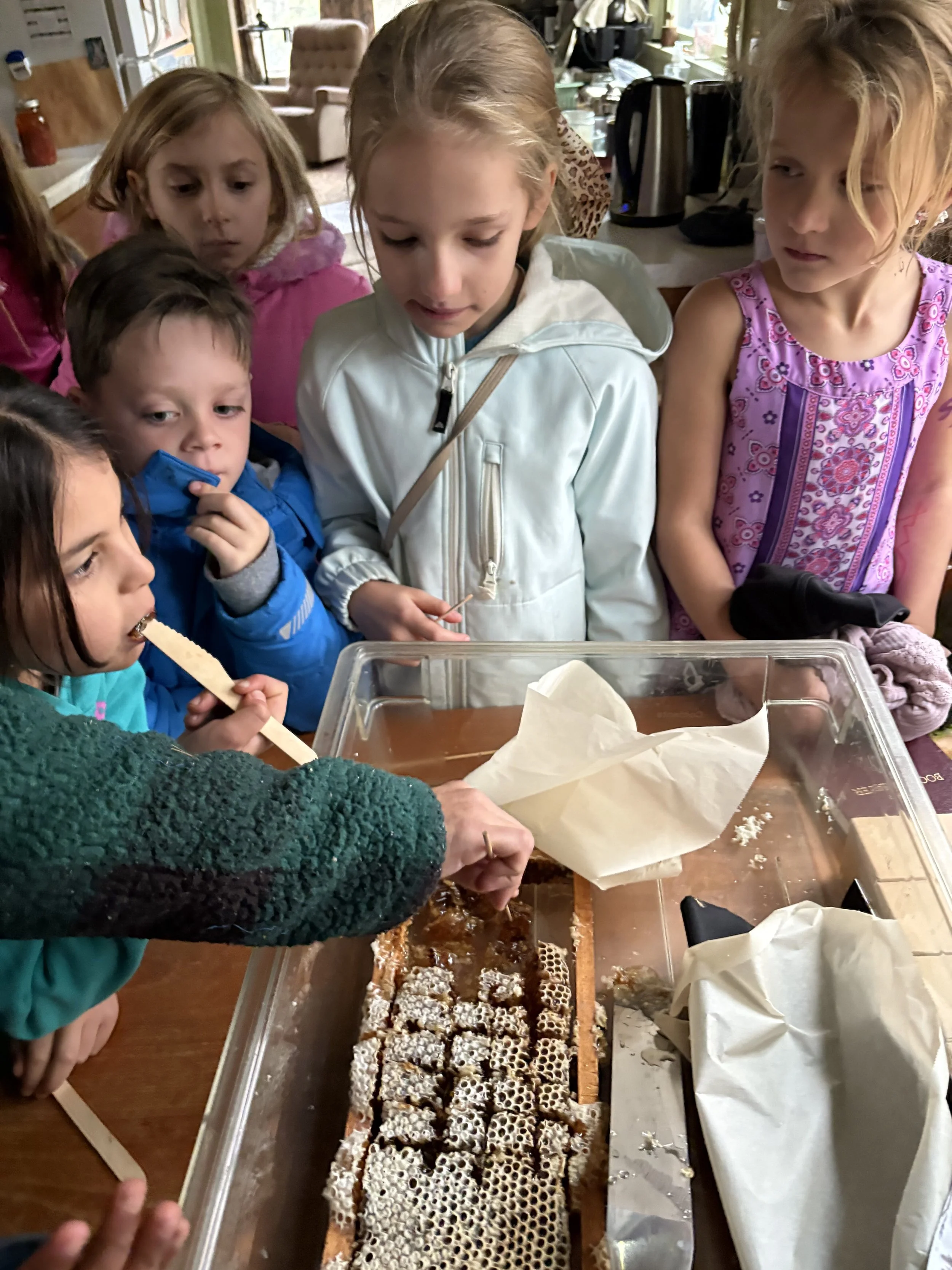 Children gathered around a table observing a beekeeper handling a honeycomb in a glass display case.