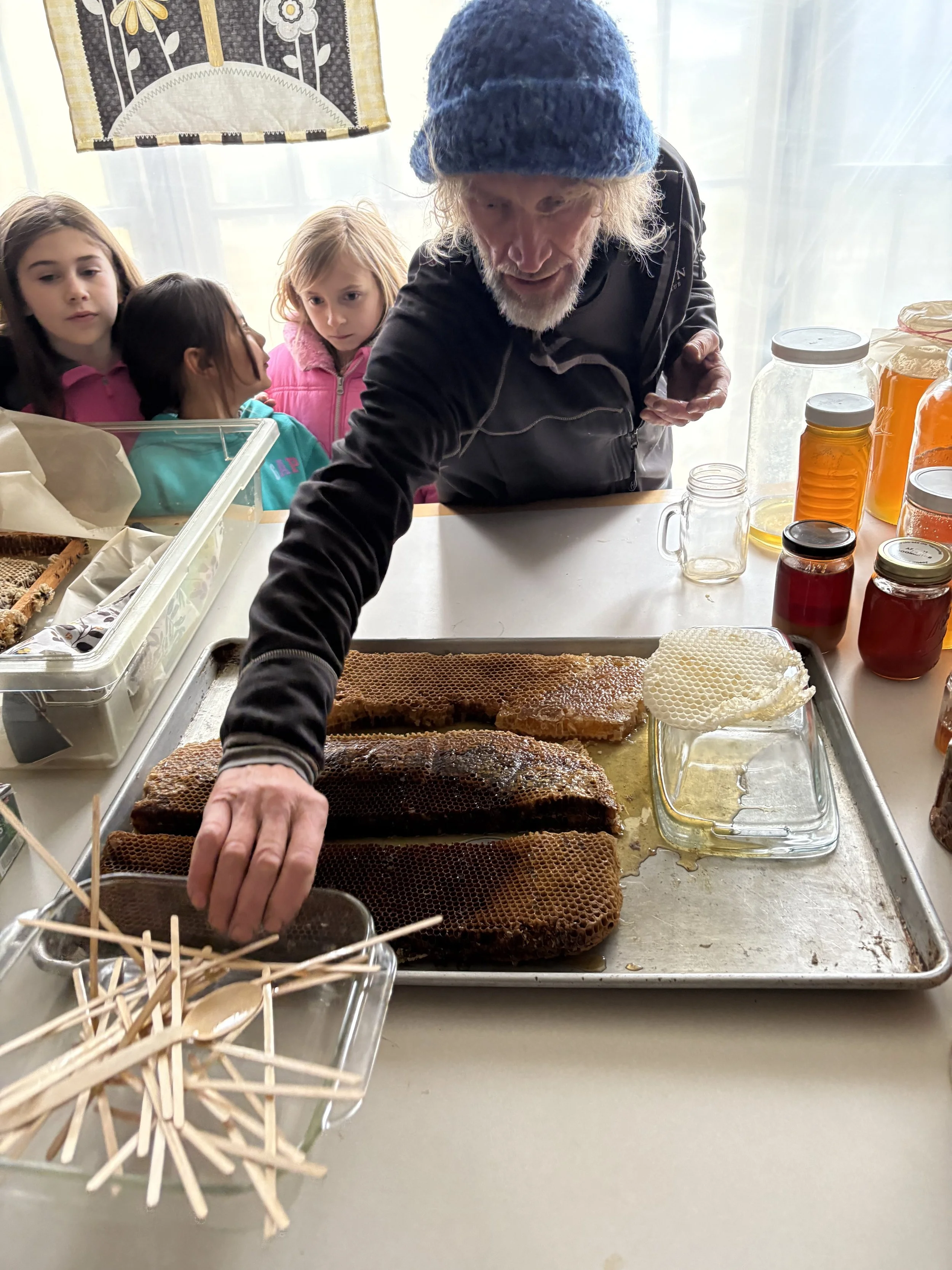 An older man with a blue hat and beard showing honeycomb frames to a group of children at a table. The table has jars of honey and honeycomb.