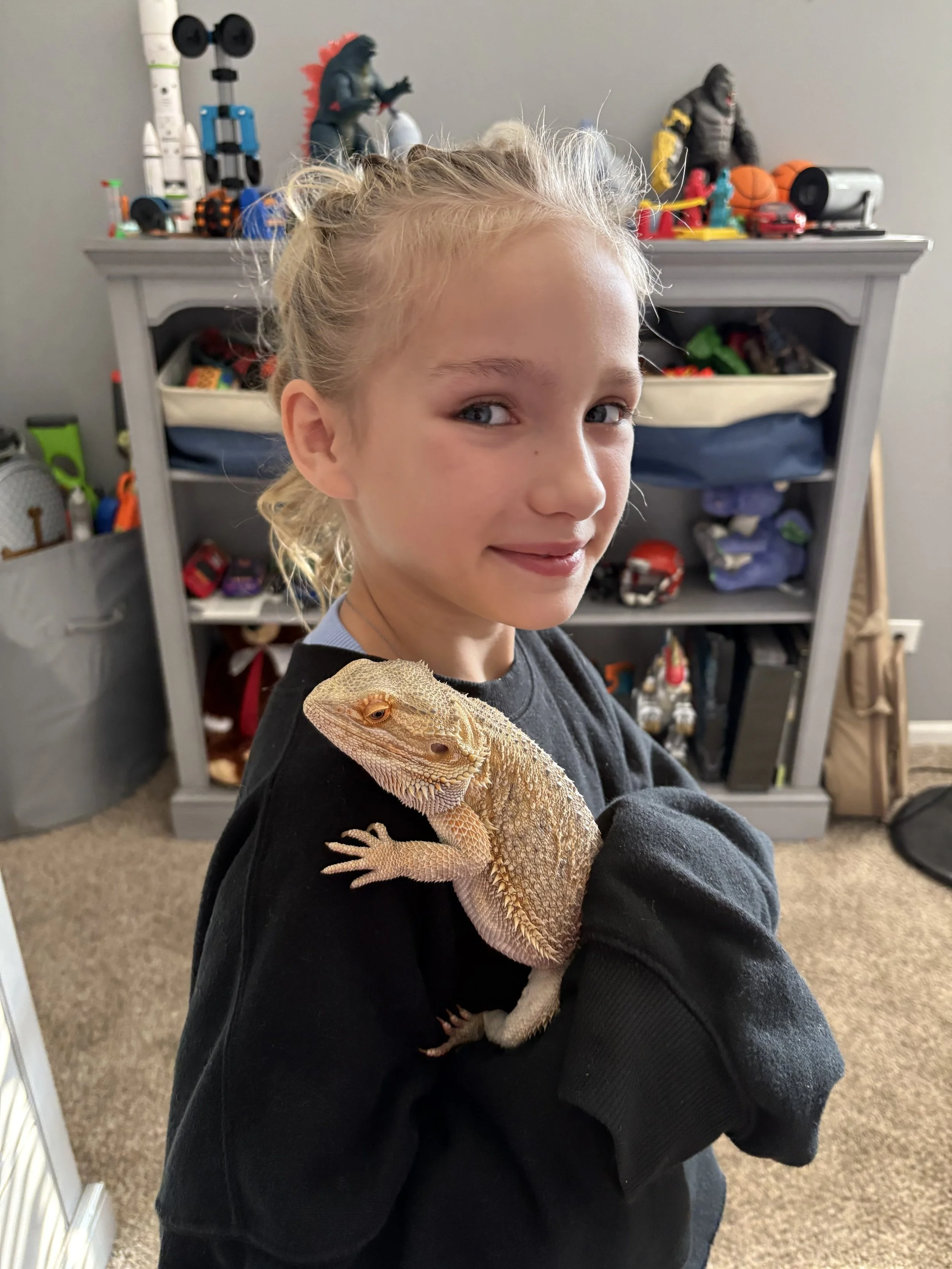 A young girl with blonde curly hair holding a bearded dragon on her arm in a room with a gray bookshelf and various toys and stuffed animals.