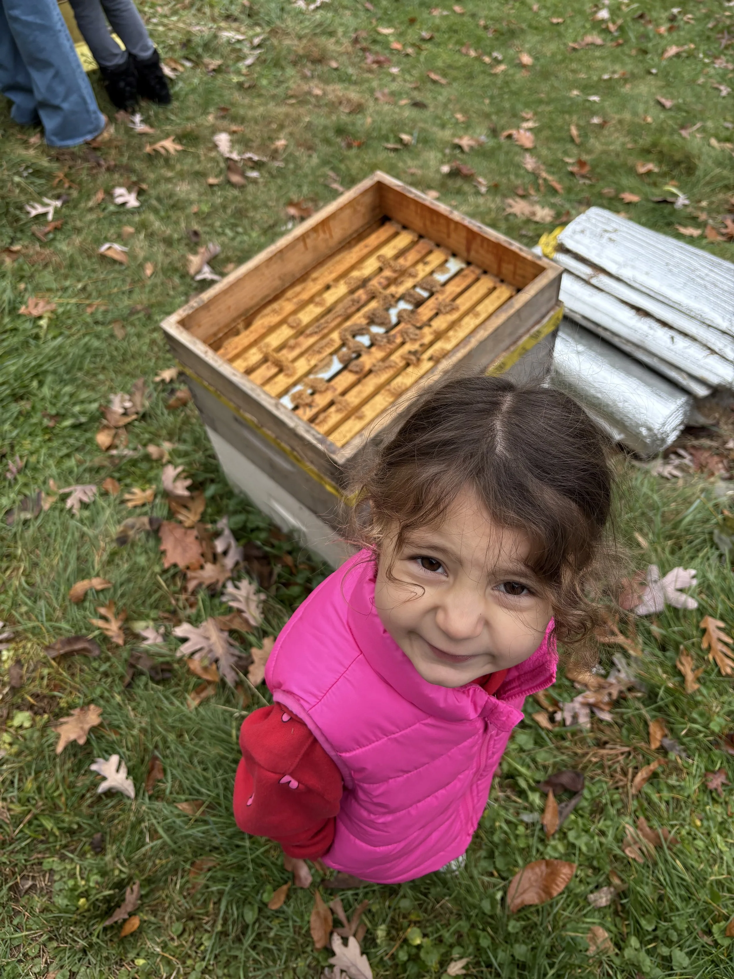 A young girl with brown hair wearing a pink jacket standing on grass with fallen leaves, smiling at the camera, in front of an outdoor hive box with bees.
