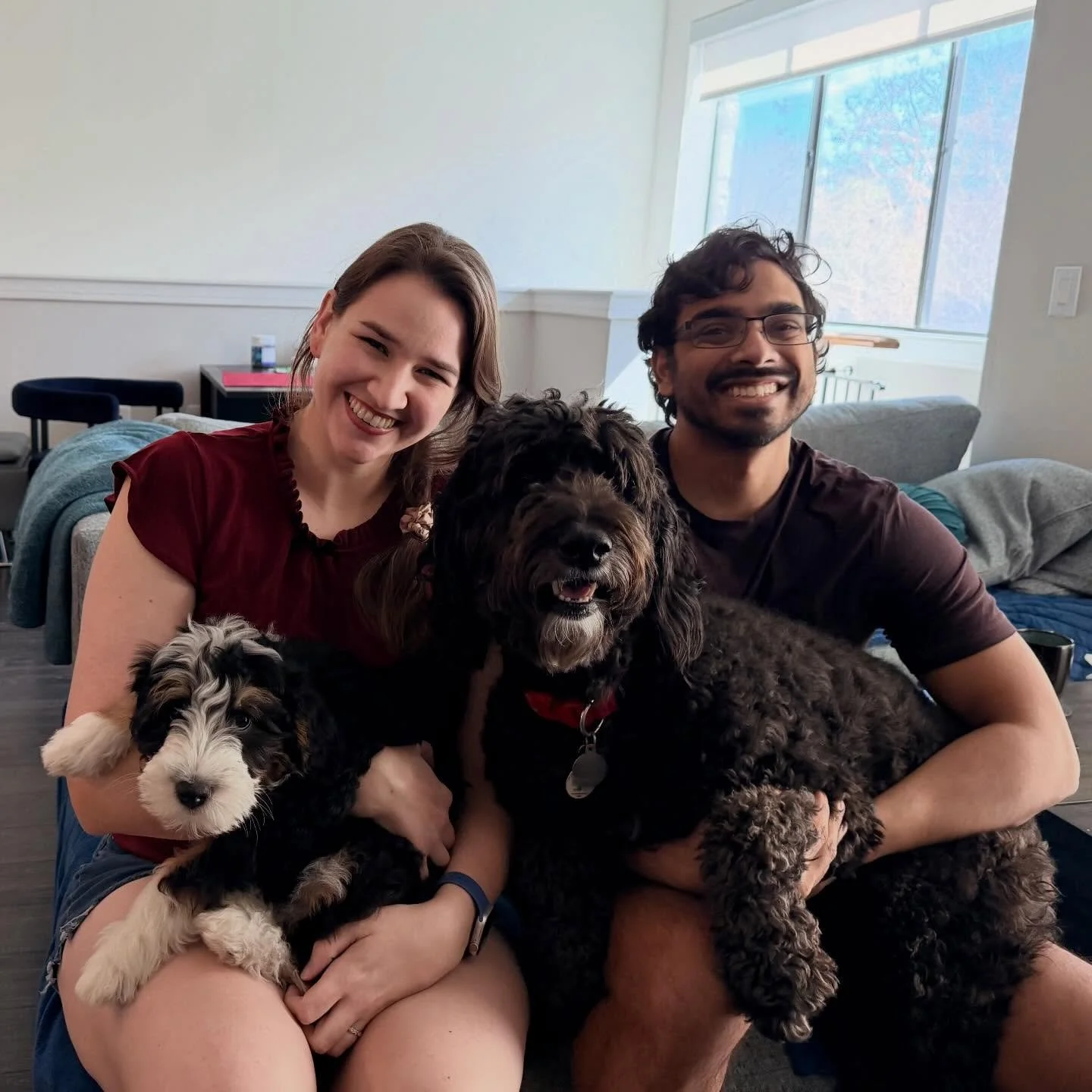 Family photo! 
Devi is 11 weeks old now!