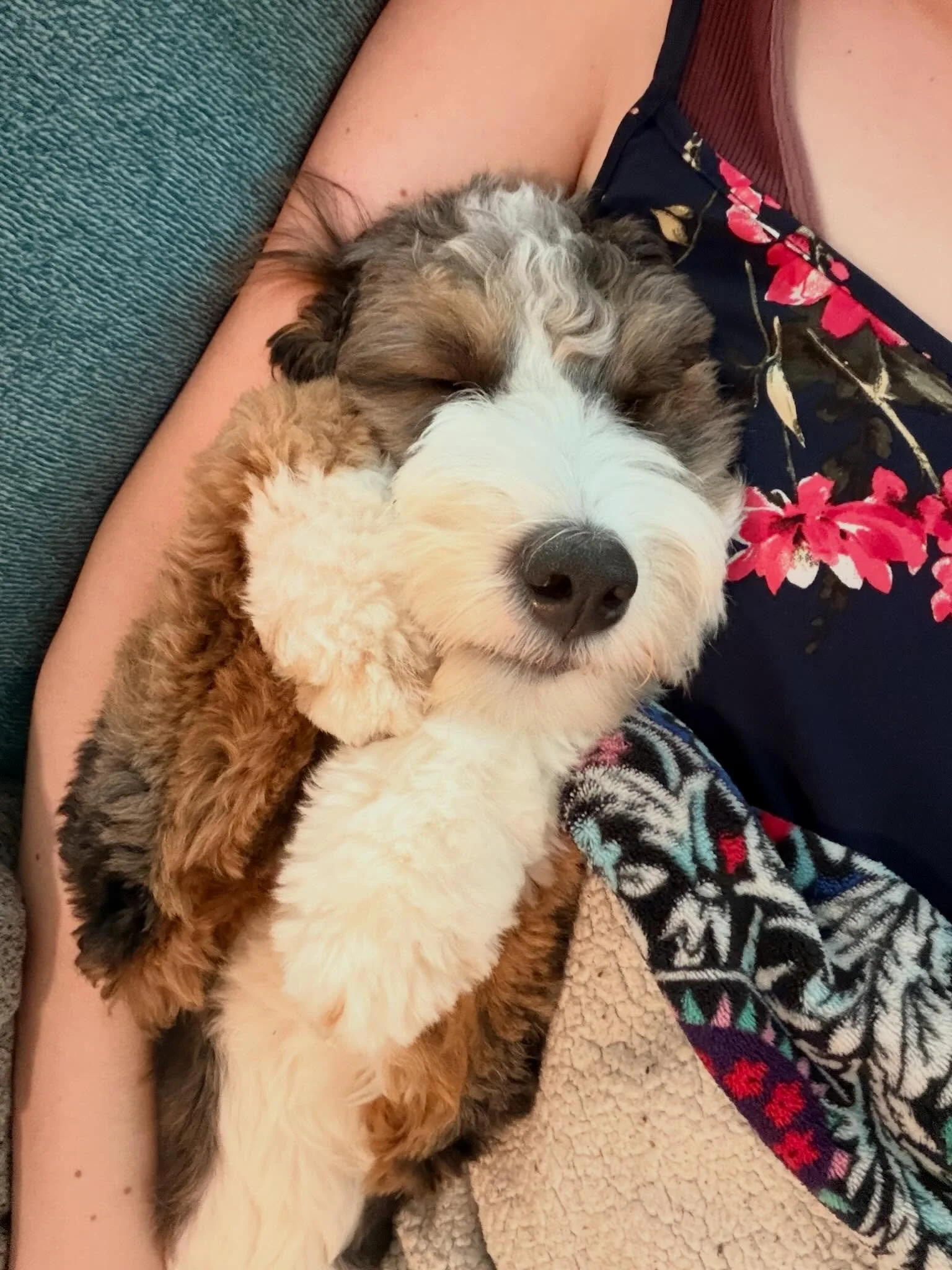 I had planned on writing today&hellip;