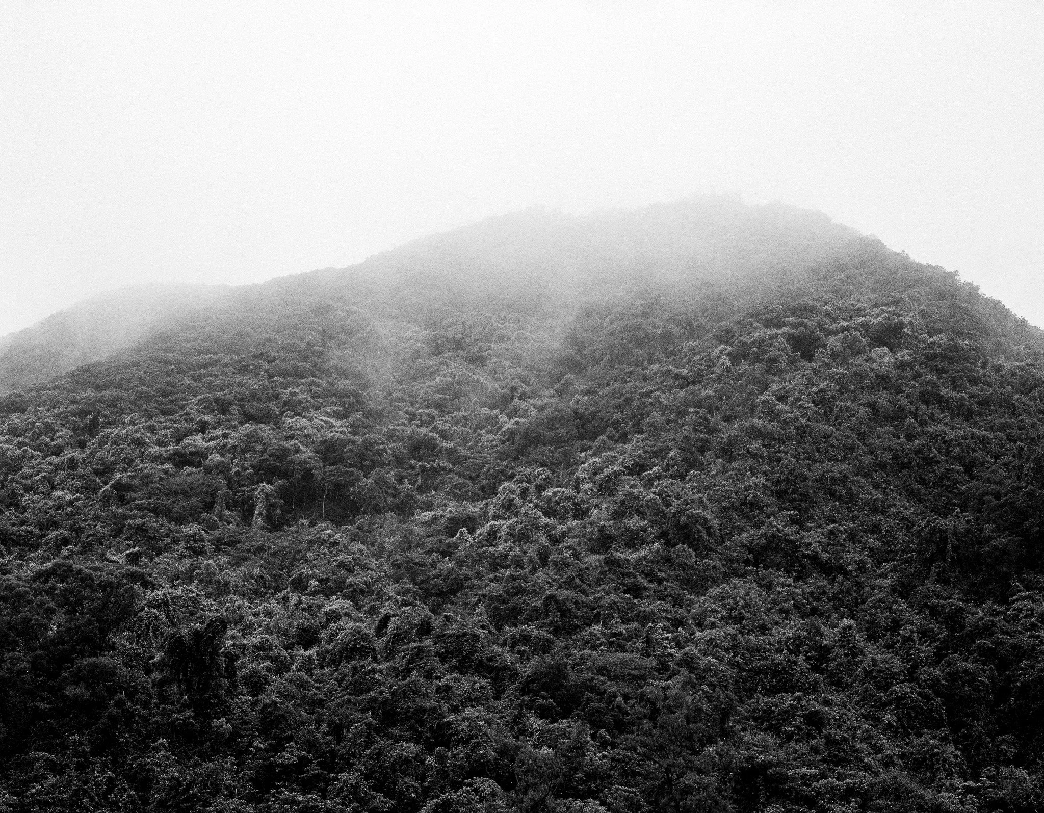 Sharp Island, Hong Kong. 2019