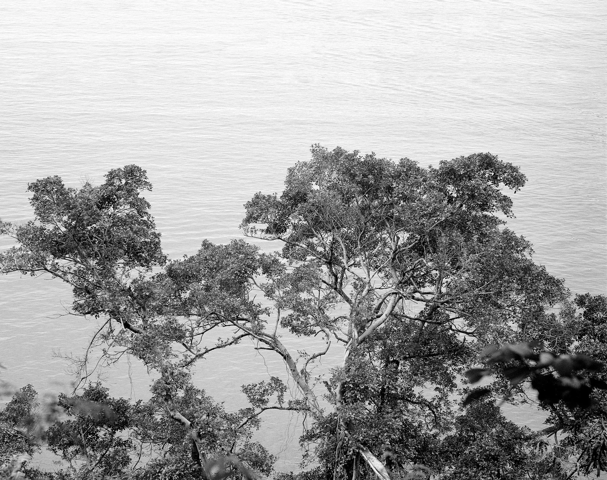 Sharp Island, Hong Kong. 2019