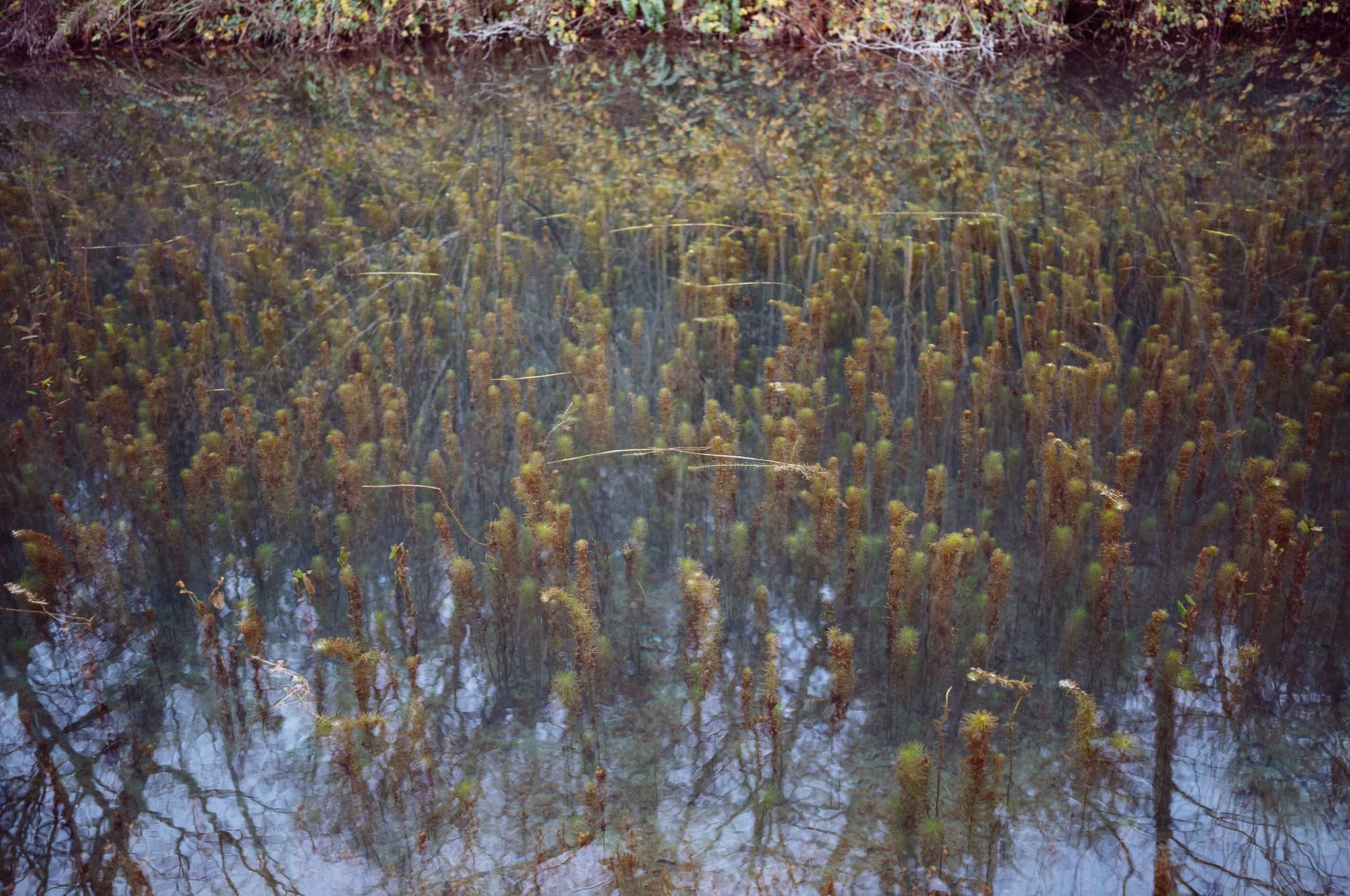 Gloucestershire, United Kingdom. 2025