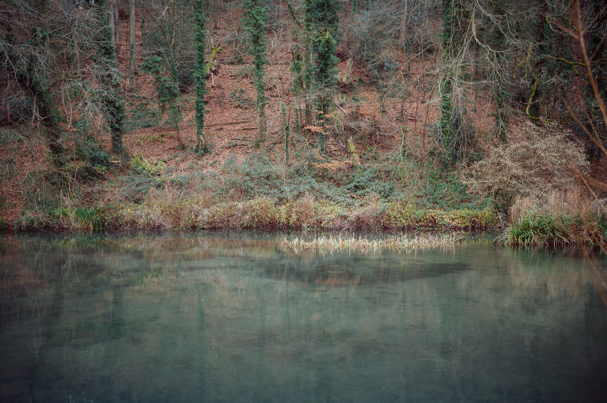 Gloucestershire, United Kingdom. 2025