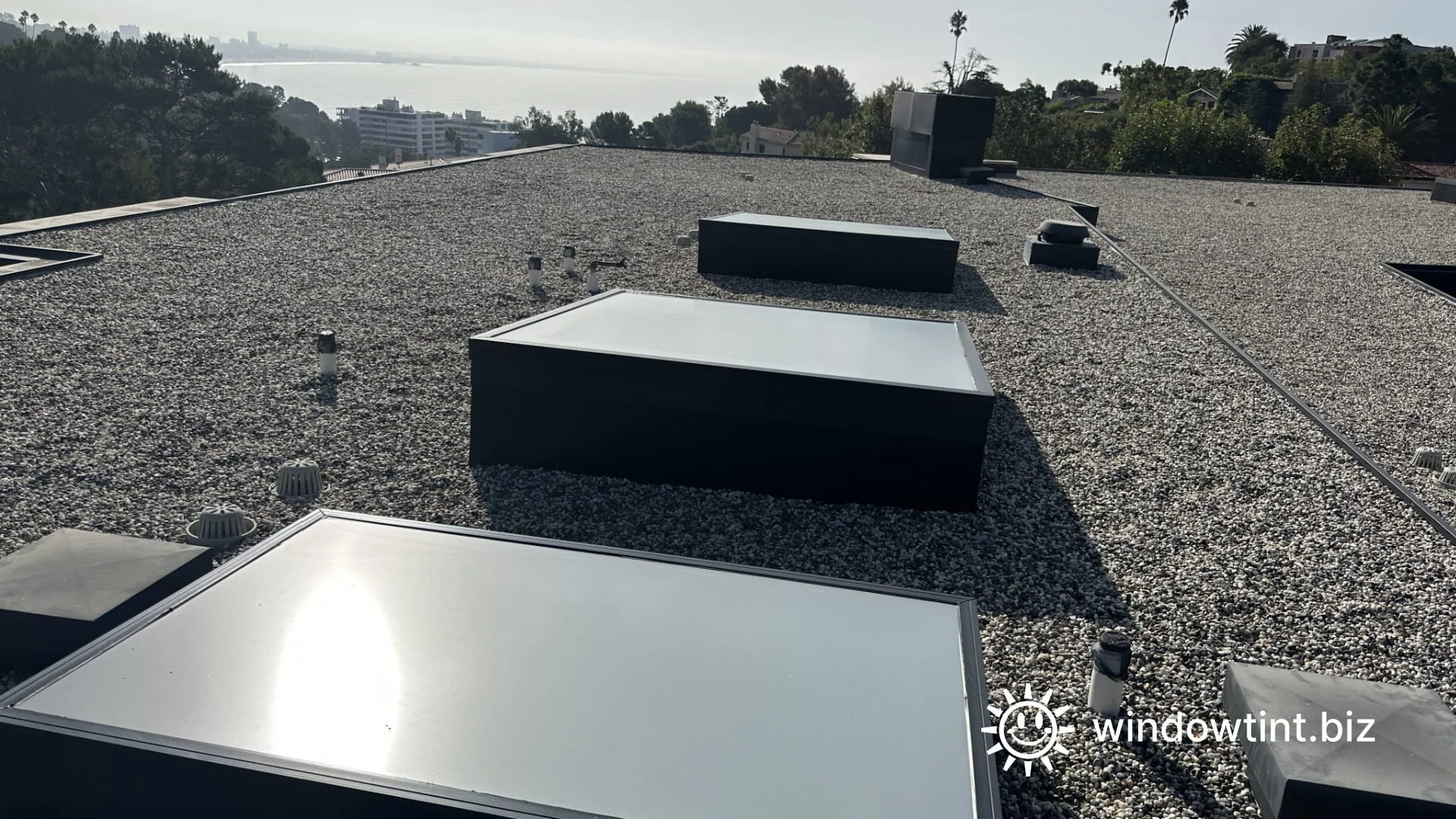 Diffused skylight lighting after frosted window film installation in Los Angeles, CA, providing soft natural light without glare.