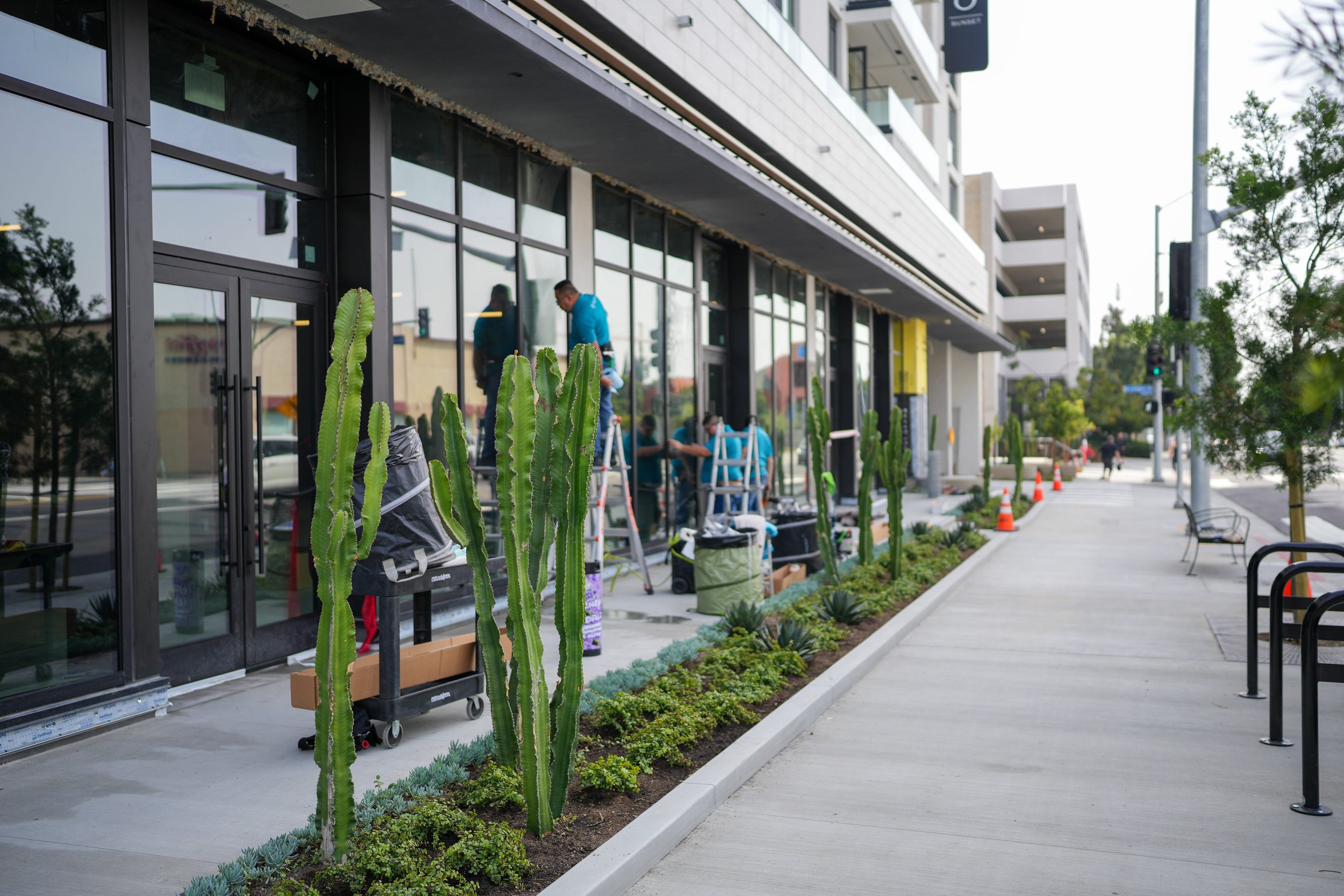 Installing protective window film on commercial glass to prevent graffiti damage and surface scratching