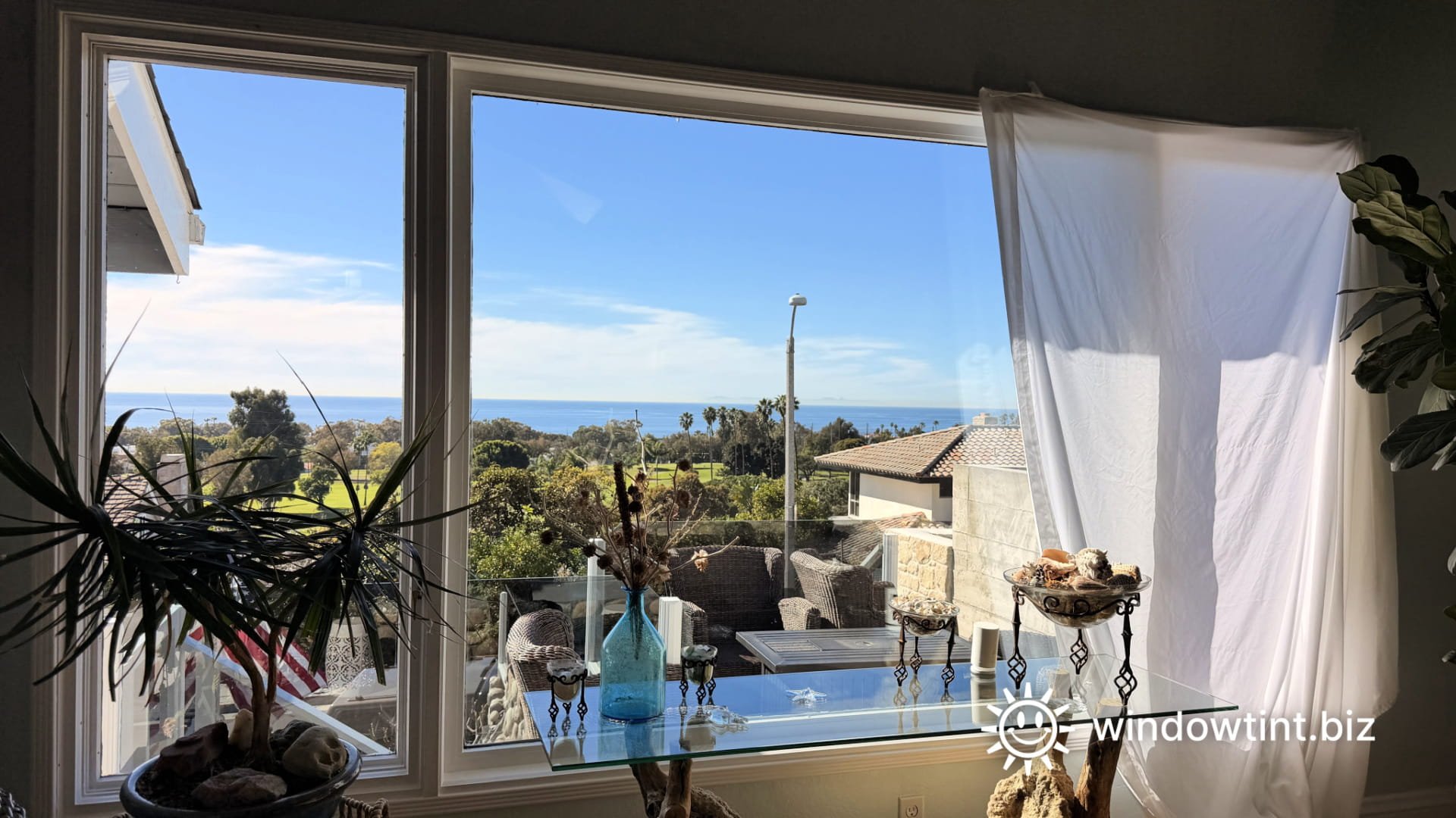 Large windows covered with a sheet to block heat and sunlight and protect indoor plants from damage