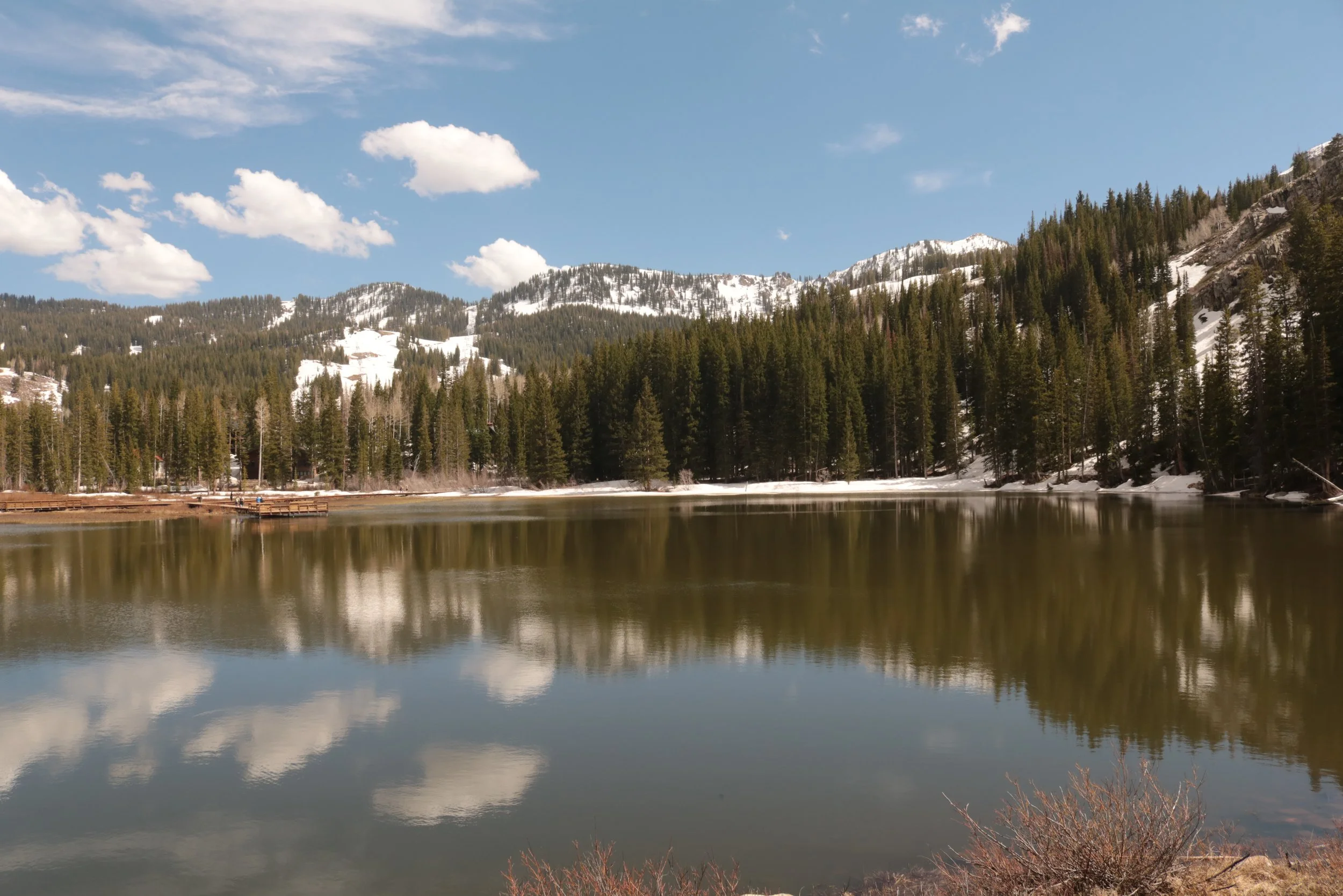 A serene mountain lake scene with calm water reflecting a clear blue sky with scattered clouds, snow-capped mountains in the background, and a forest of tall pine trees along the shoreline.