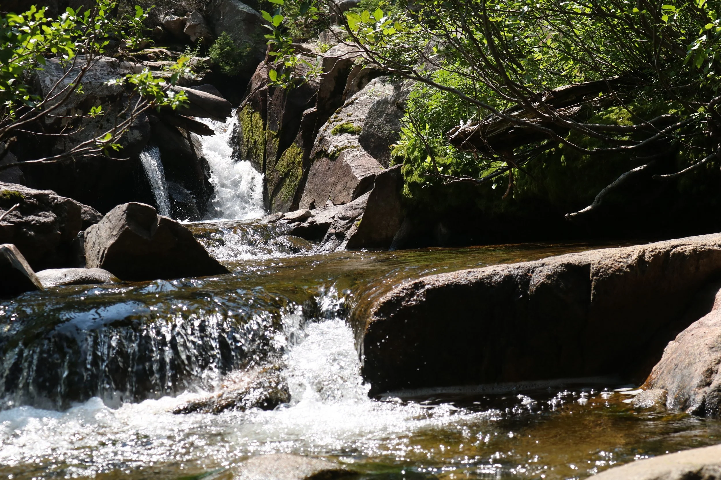 A small waterfall flowing over rocks surrounded by lush green foliage in a forested area.