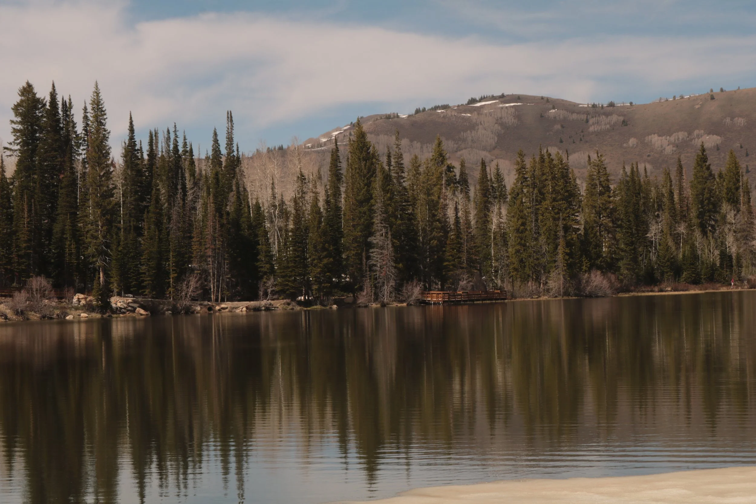 A scenic view of a calm lake with a dense forest of tall pine trees in the foreground and a mountain range in the background under a partly cloudy sky.