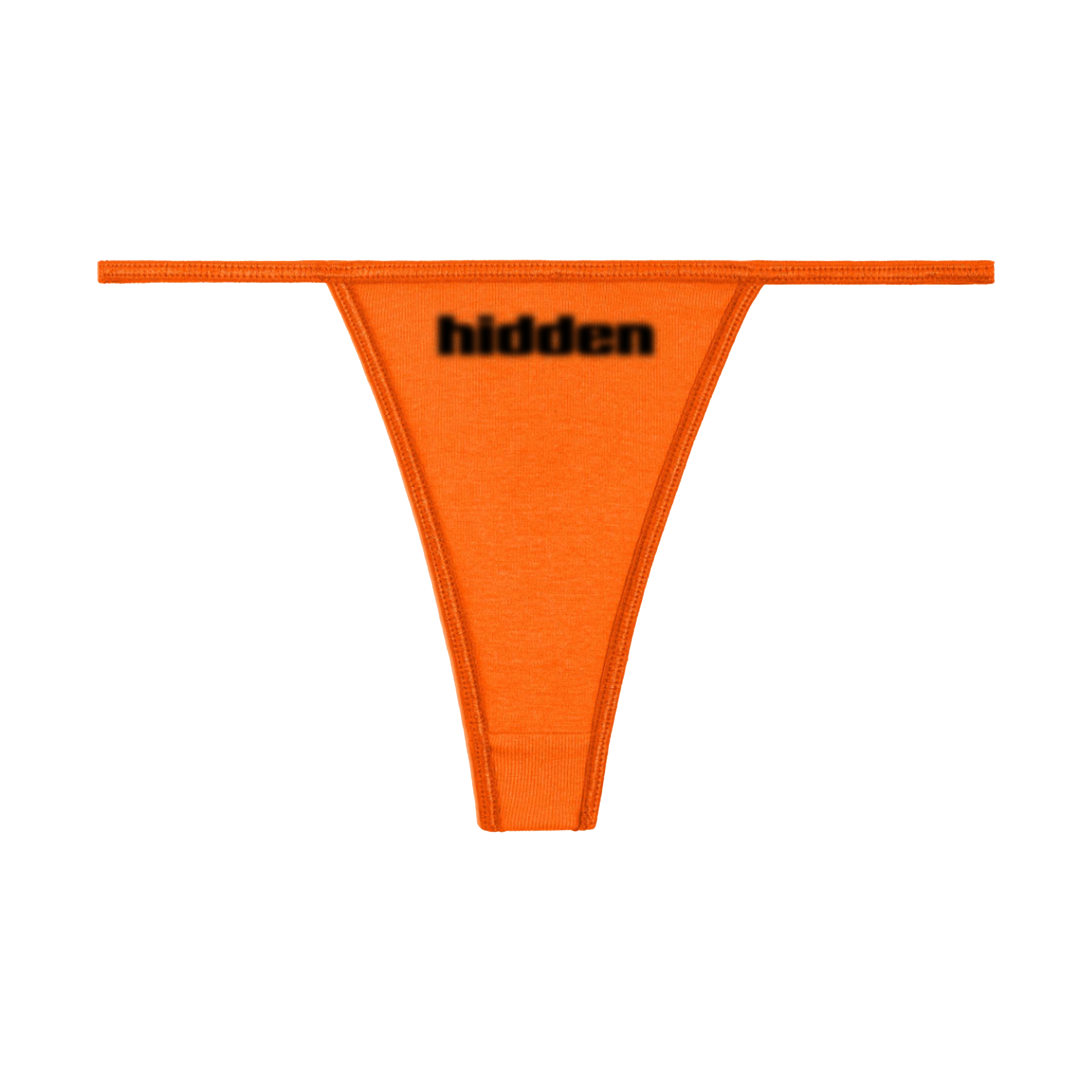 HIDDEN-BLUR-PANTY-MOCKUP1.png