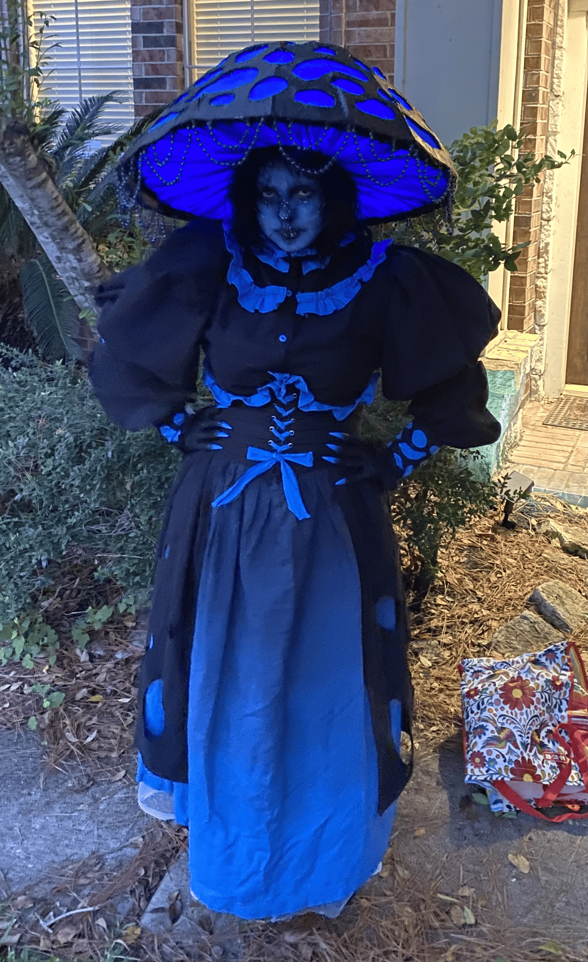 Poisonous Mushroom Personal Project