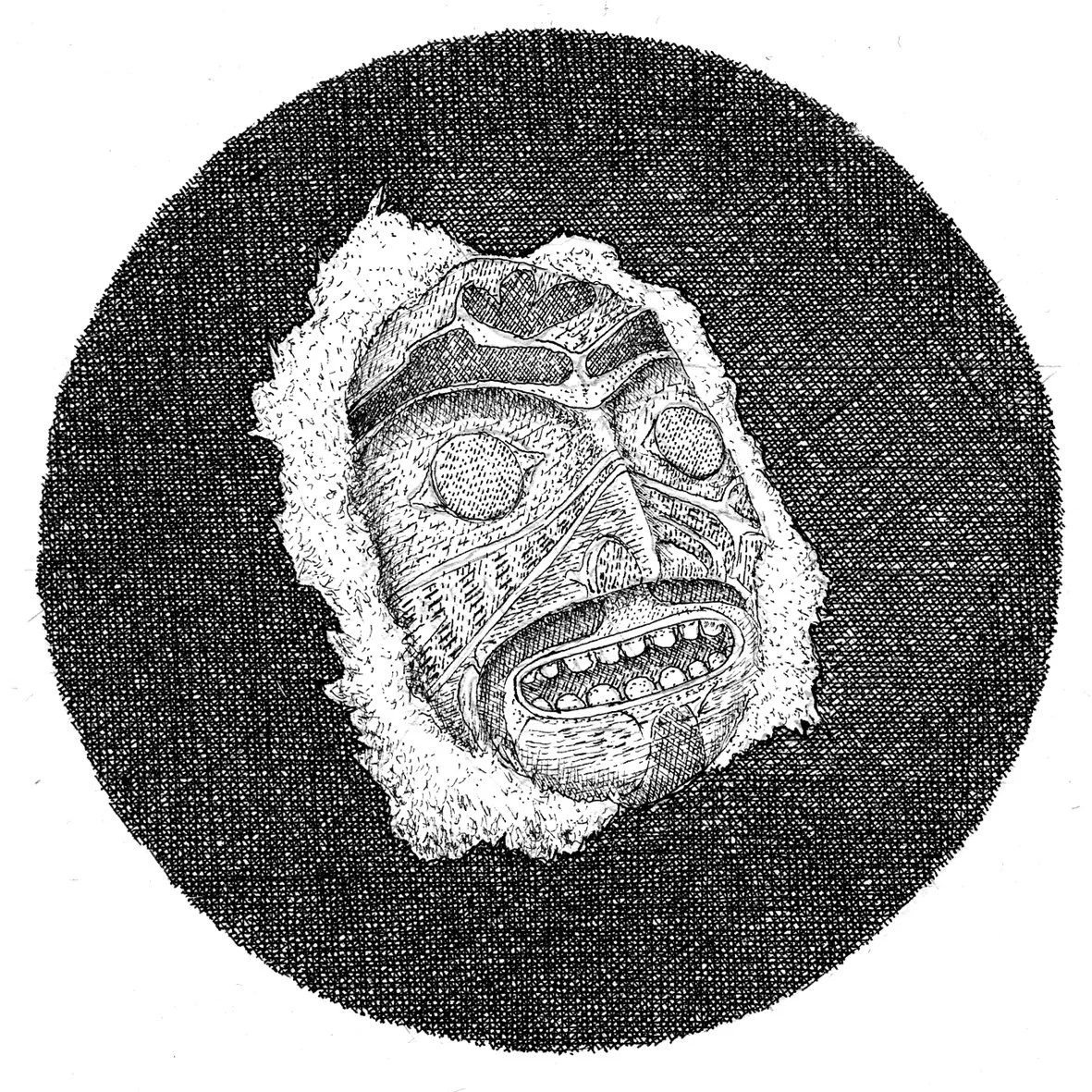 102.jpg